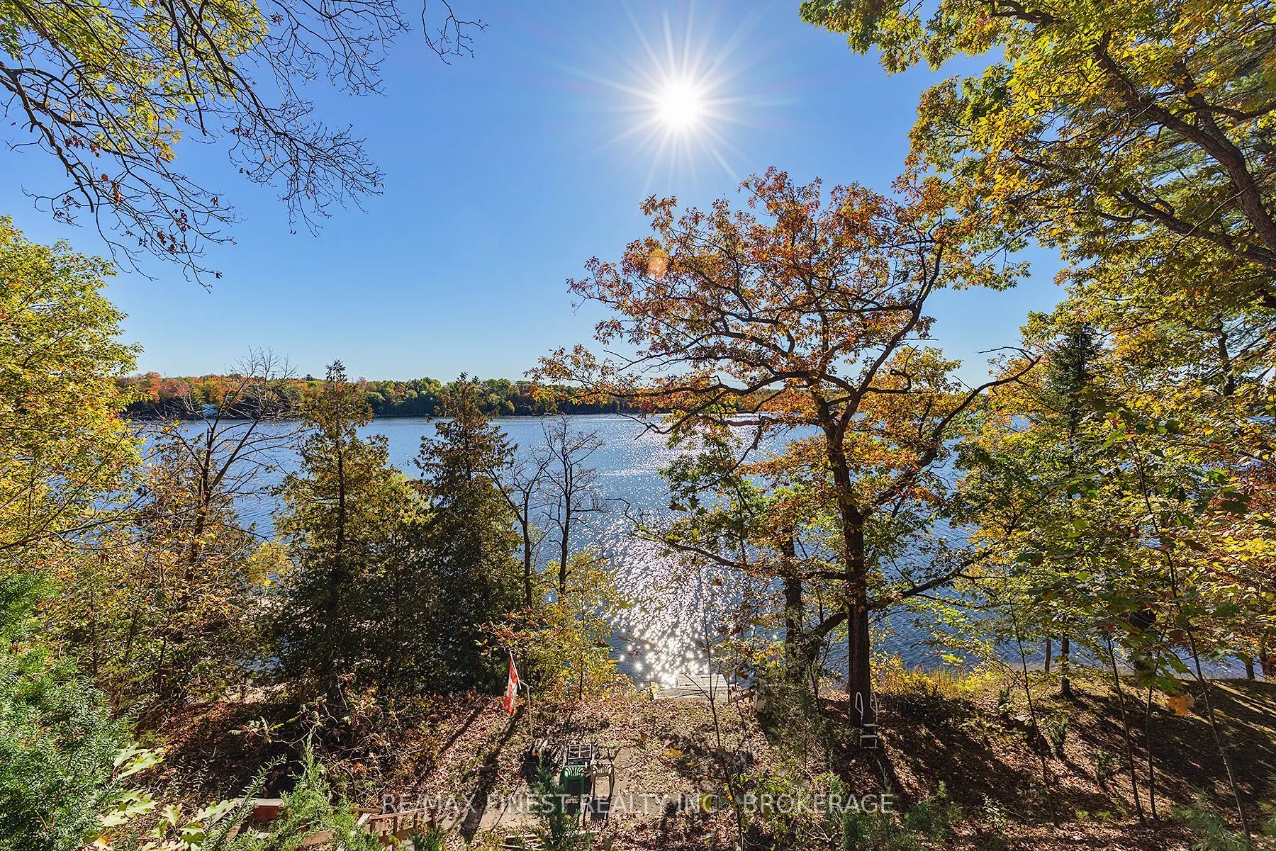 4236 Pine Ridge Drive