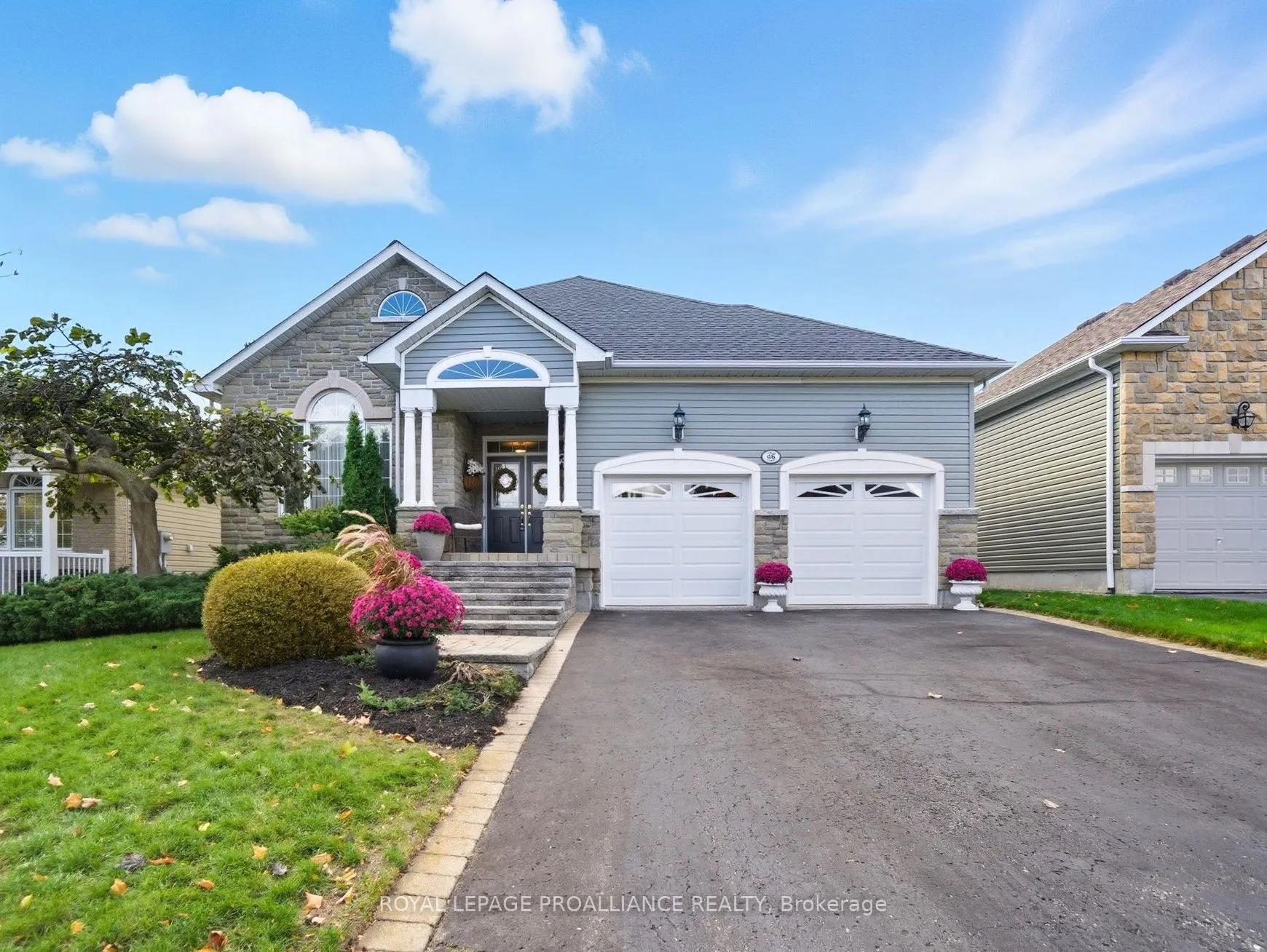 46 Jarvis Drive