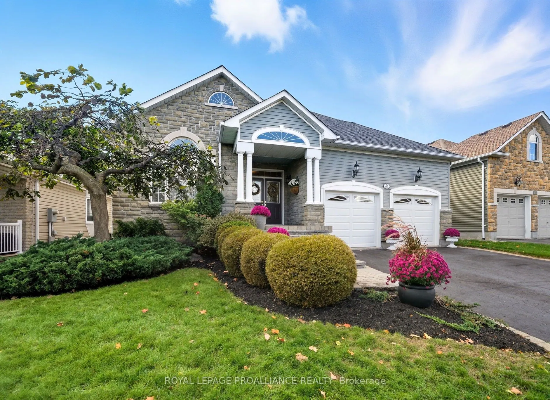 46 Jarvis Drive