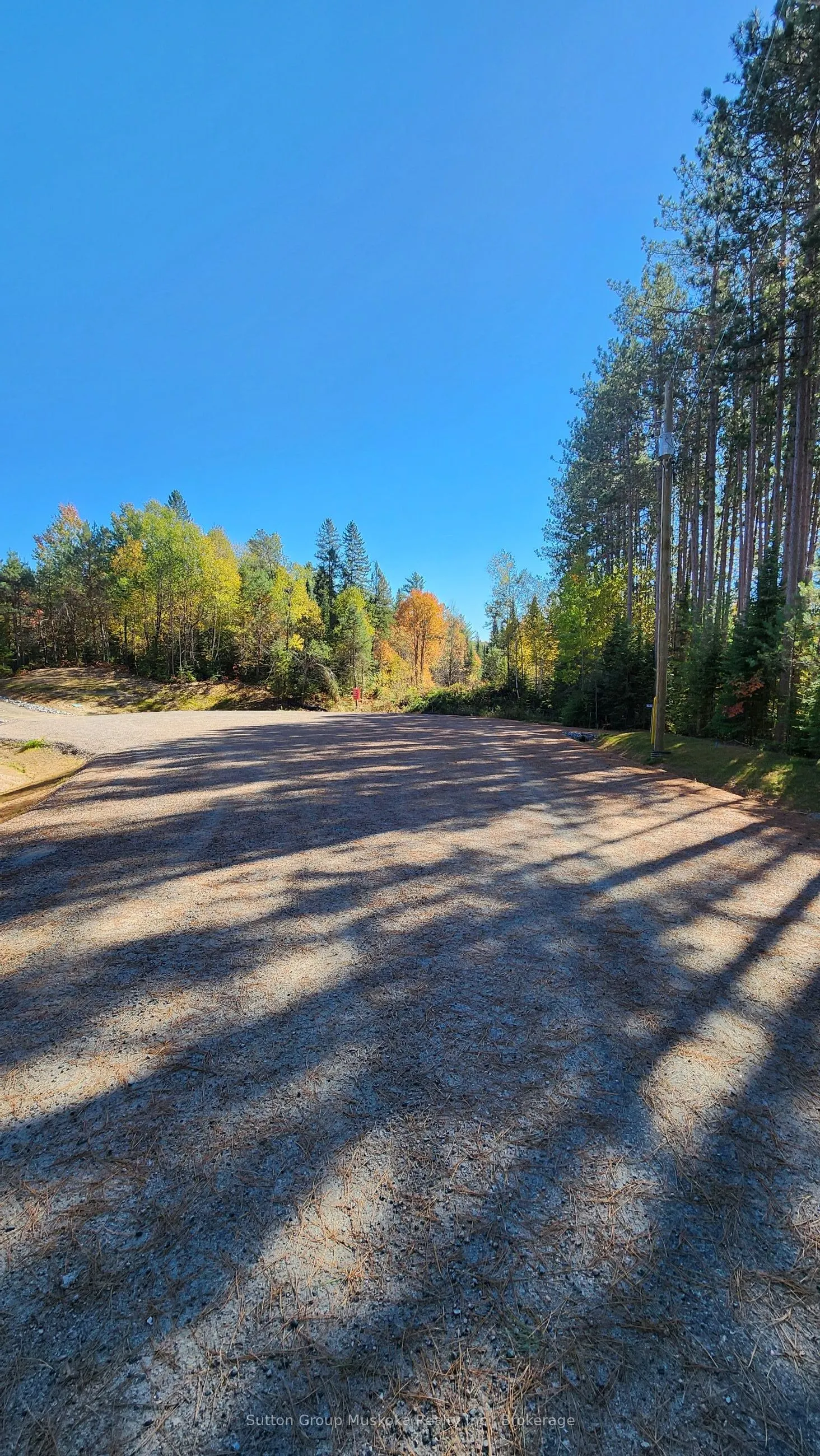 00 Red Pine Trail
