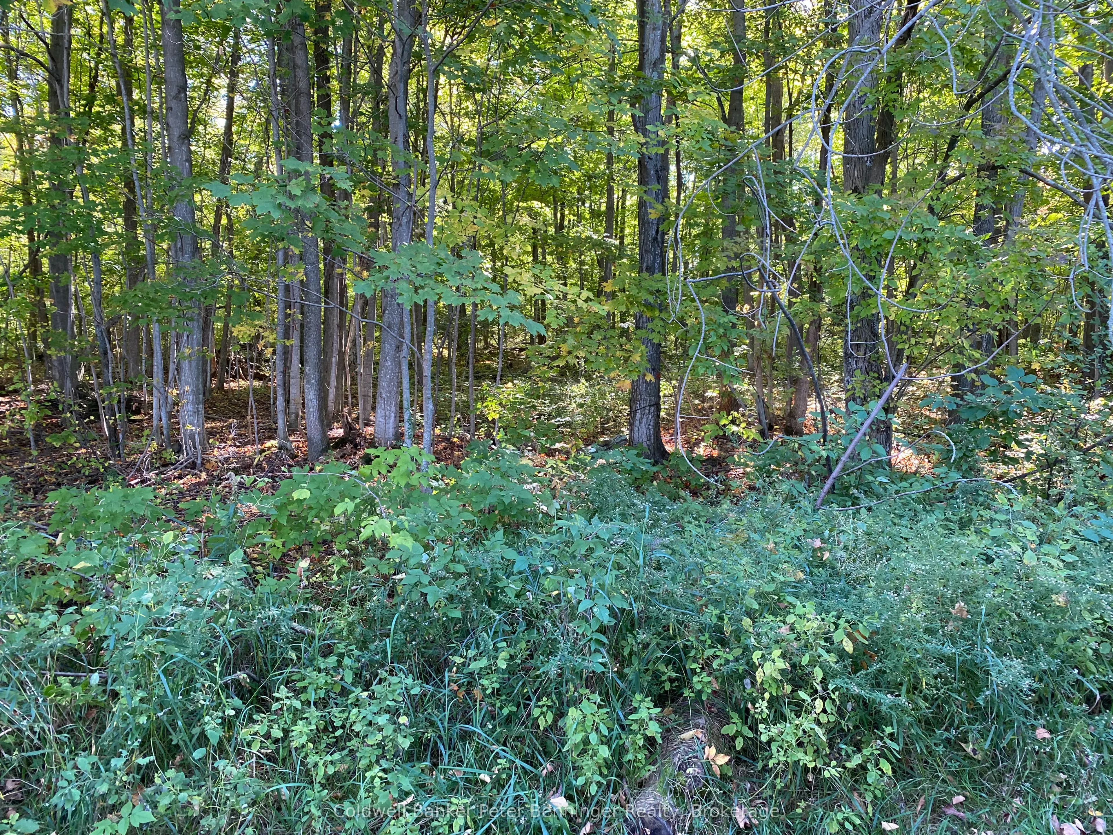 1315 Concession 8 Concession