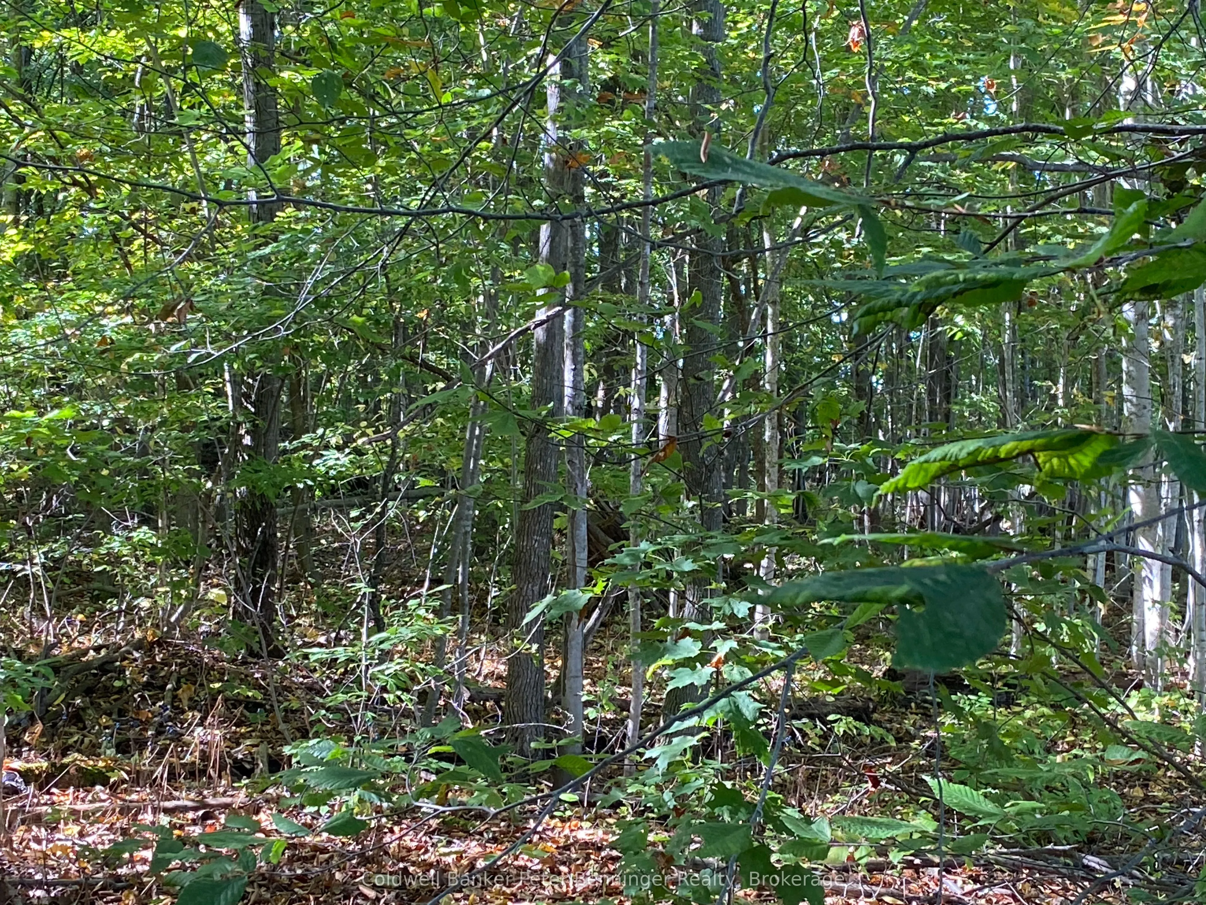 1315 Concession 8 Concession