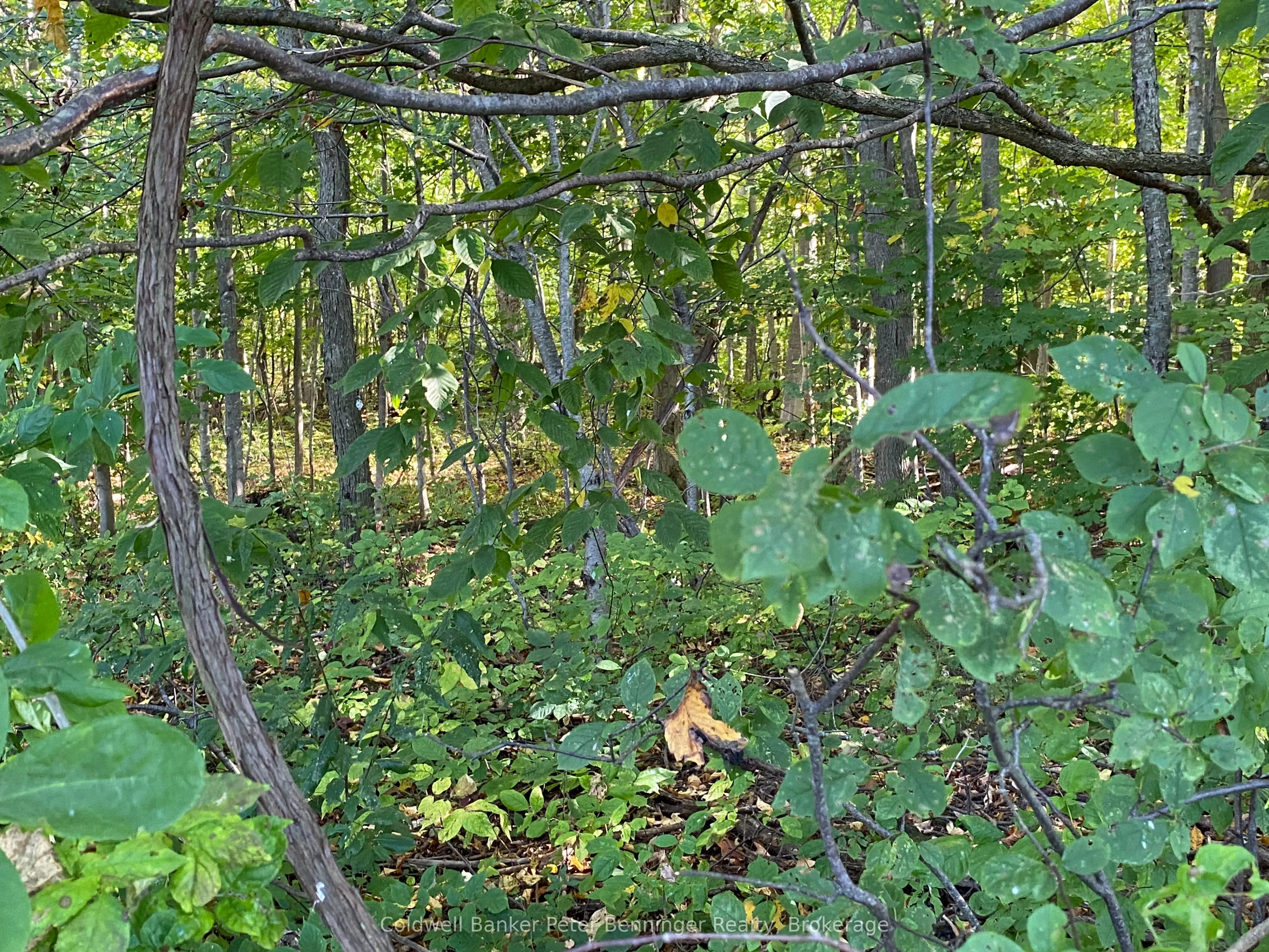 1315 Concession 8 Concession