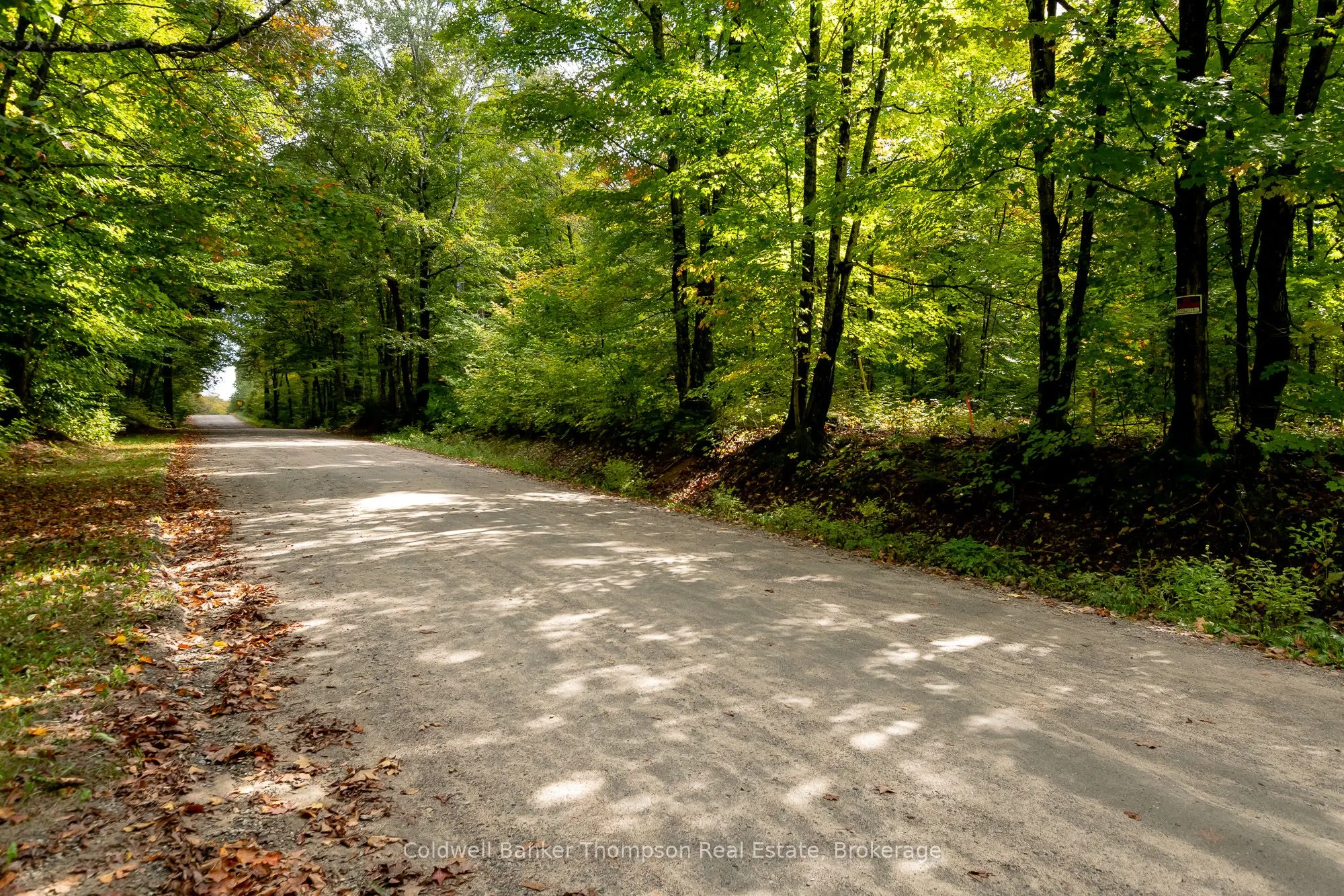 Skyline Drive