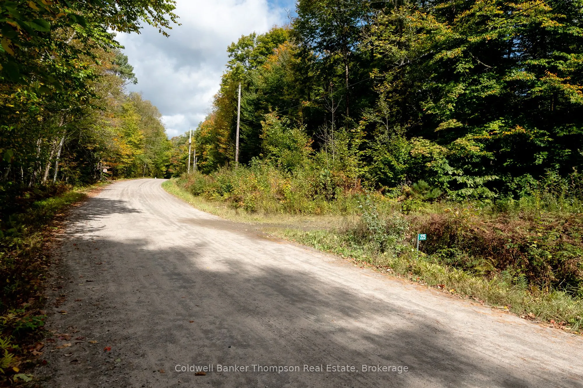 Skyline Drive