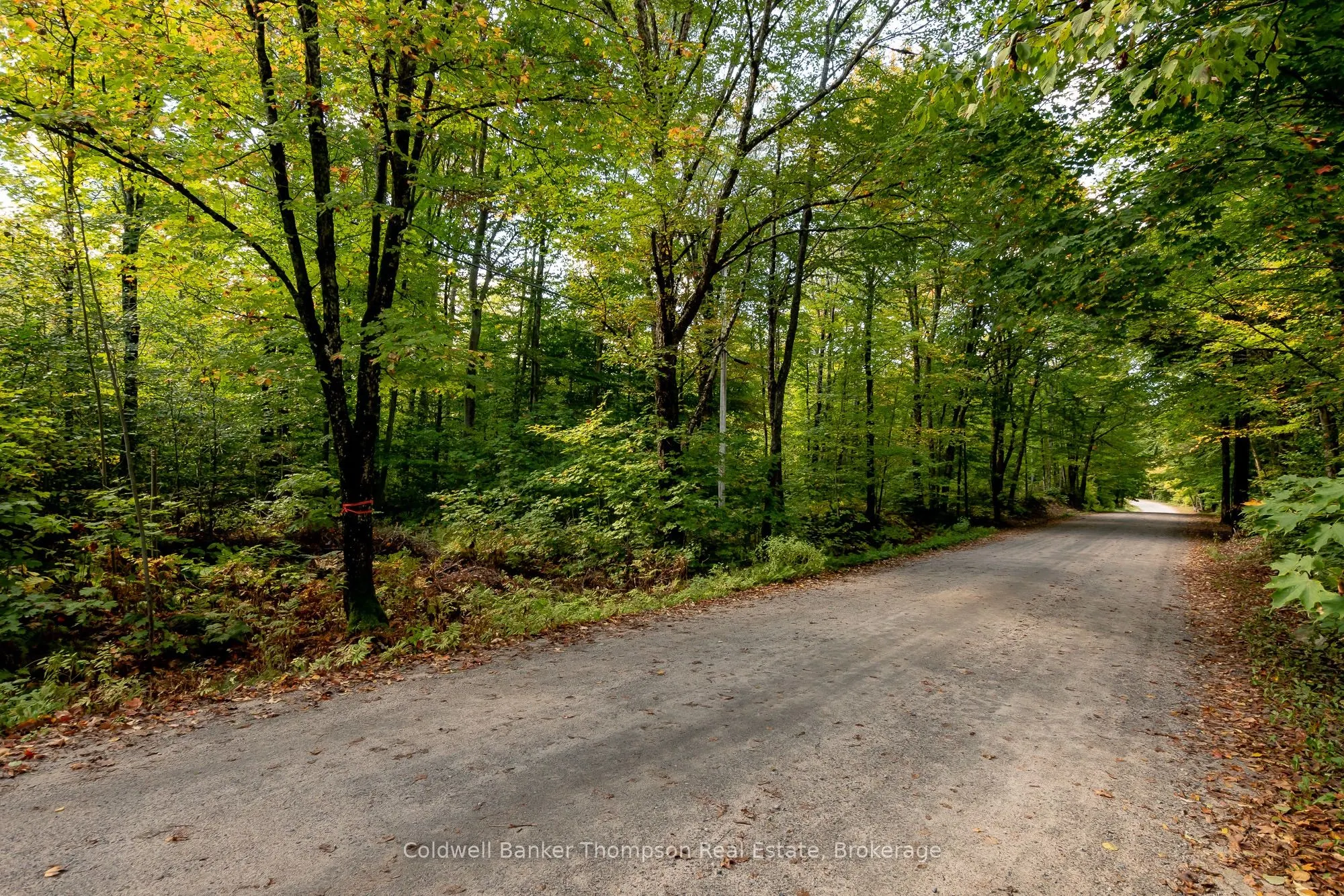 Skyline Drive