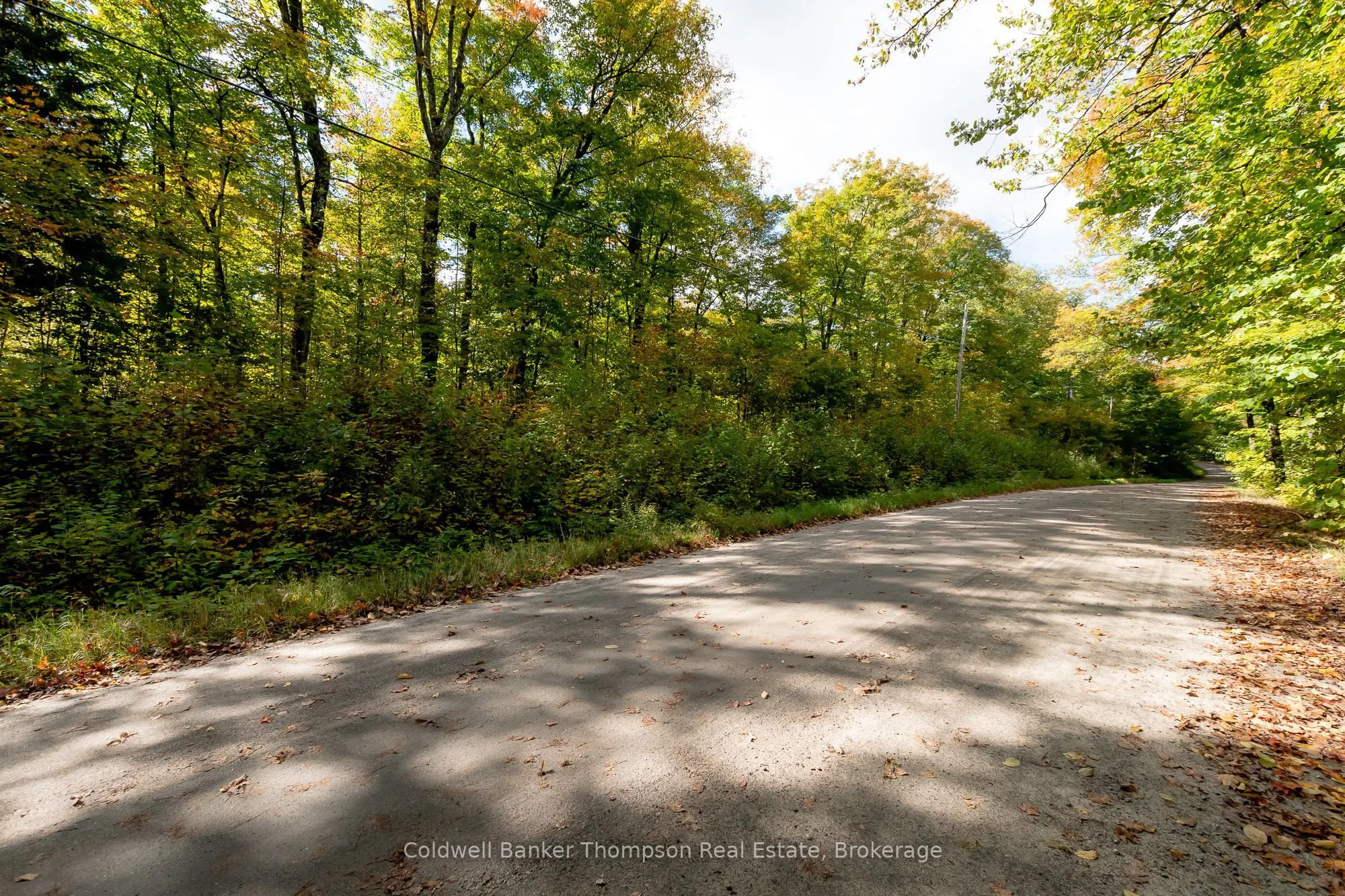 Skyline Drive