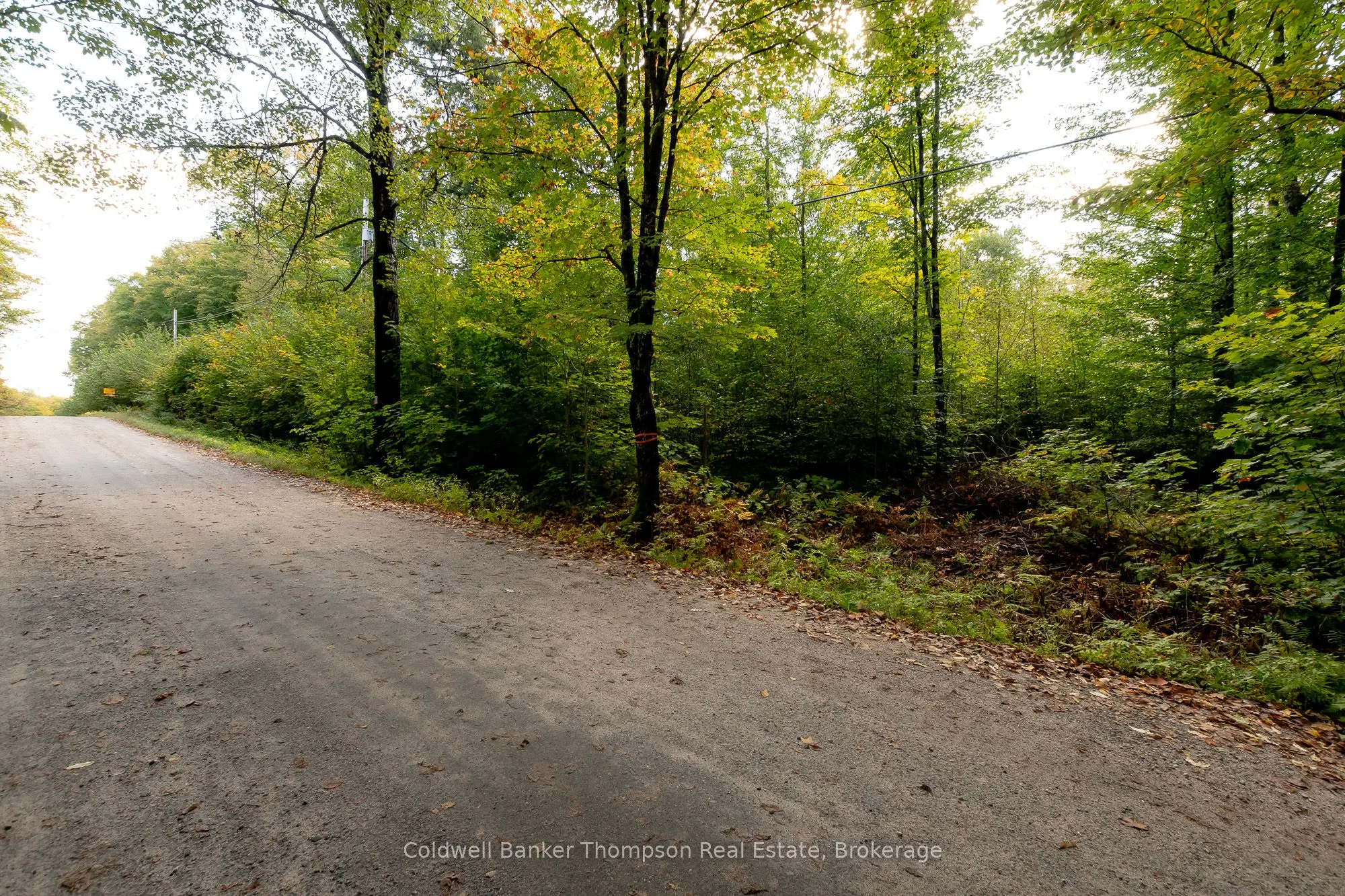 Skyline Drive