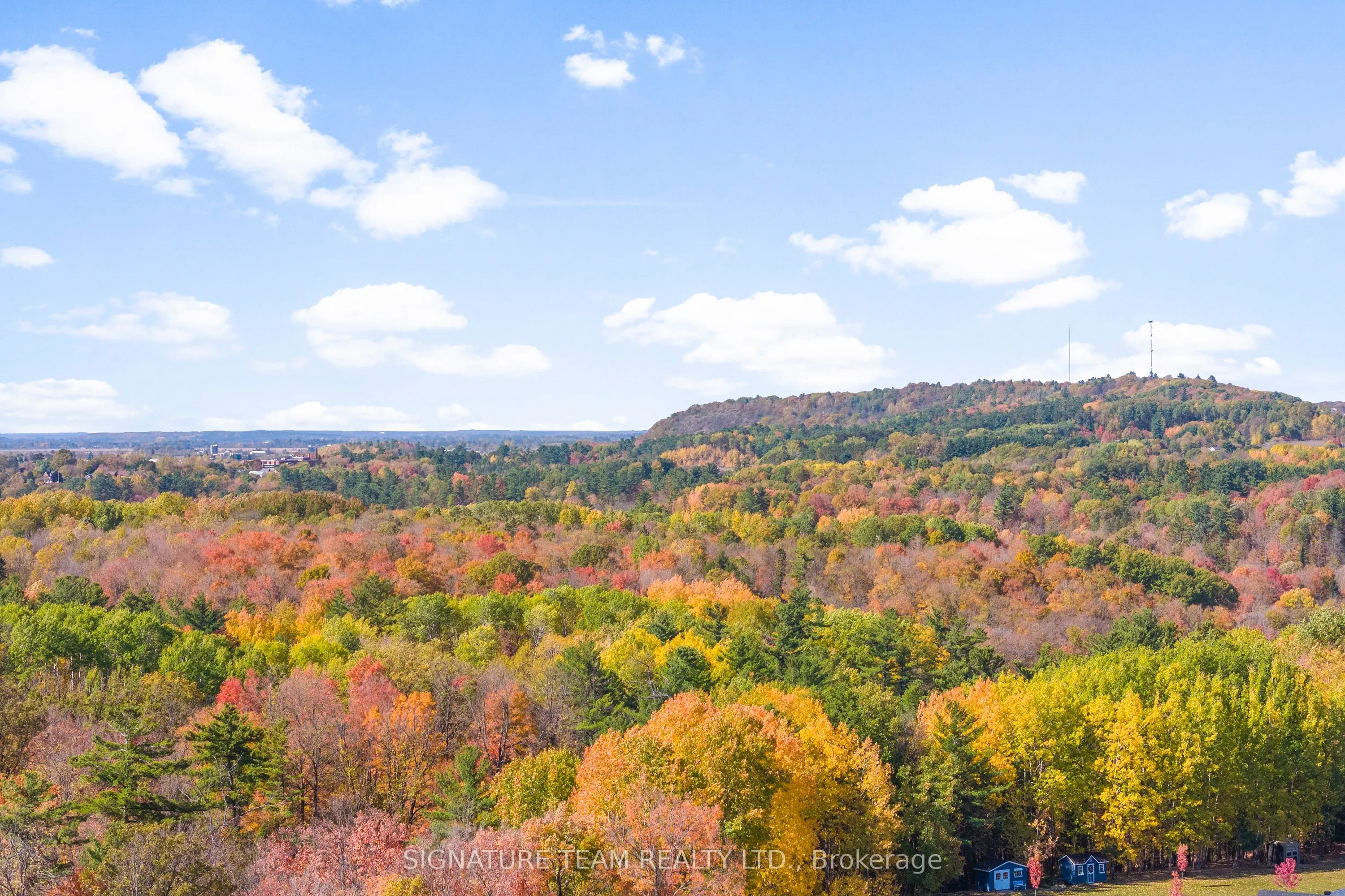 311 Forestview Crescent
