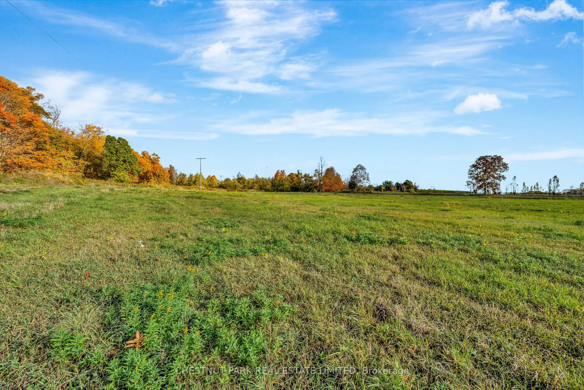4176 County Road 8