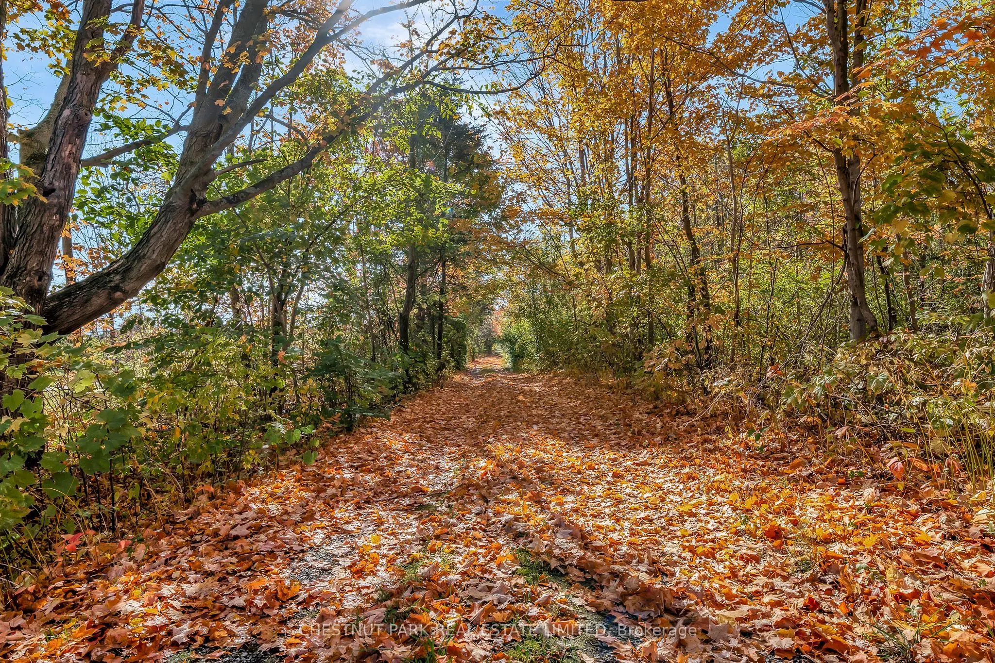 4176 County Road 8