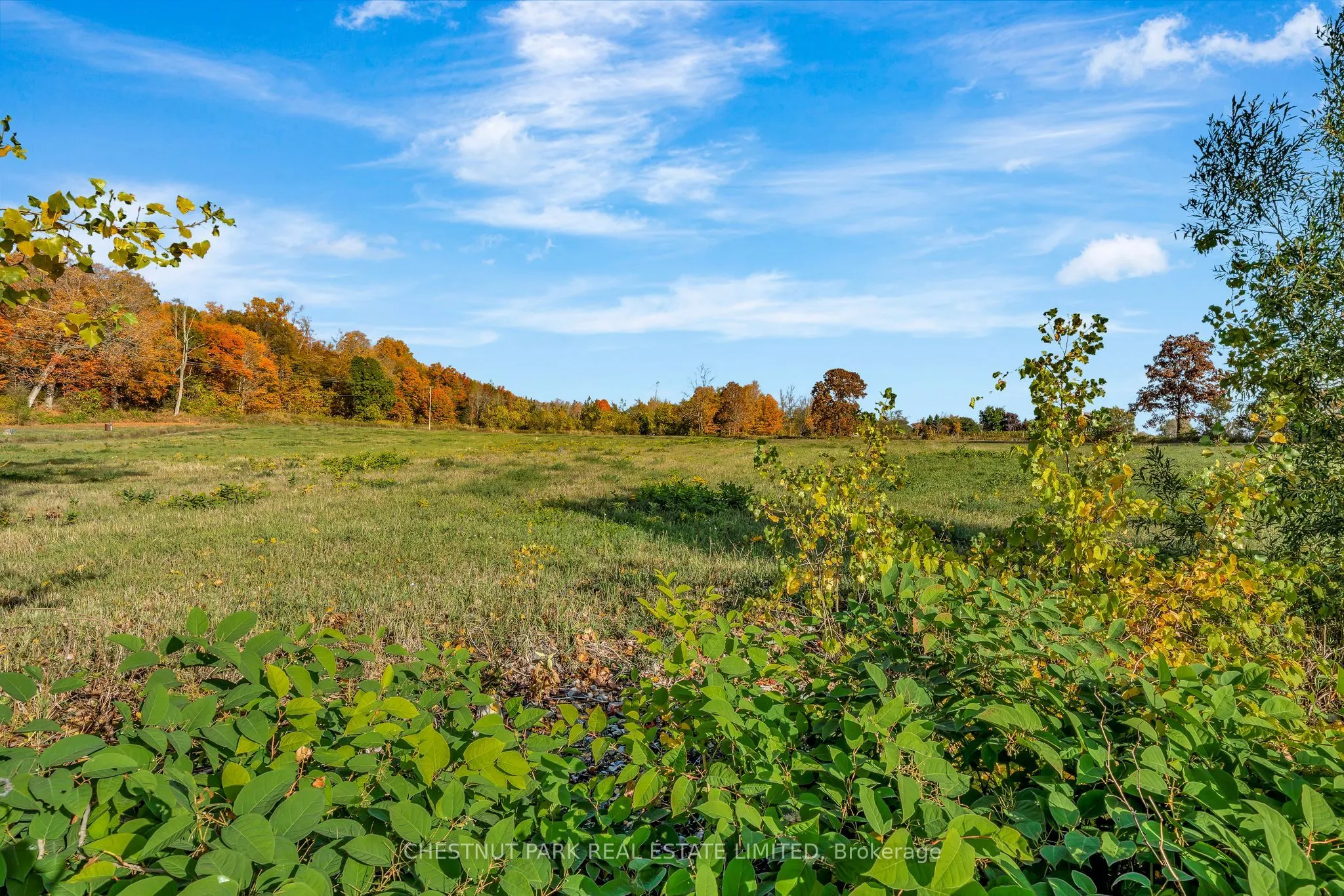 4176 County Road 8