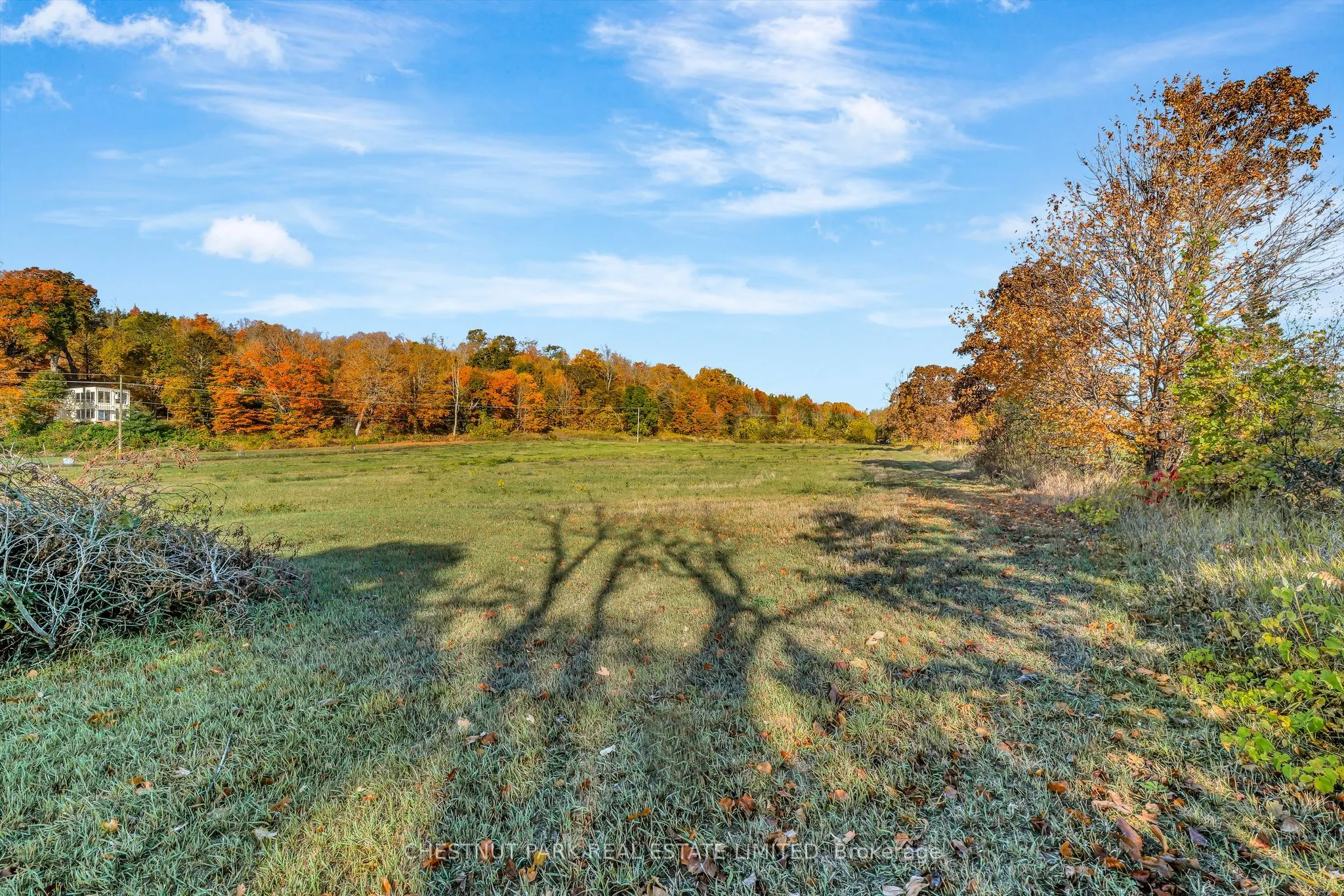 4176 County Road 8