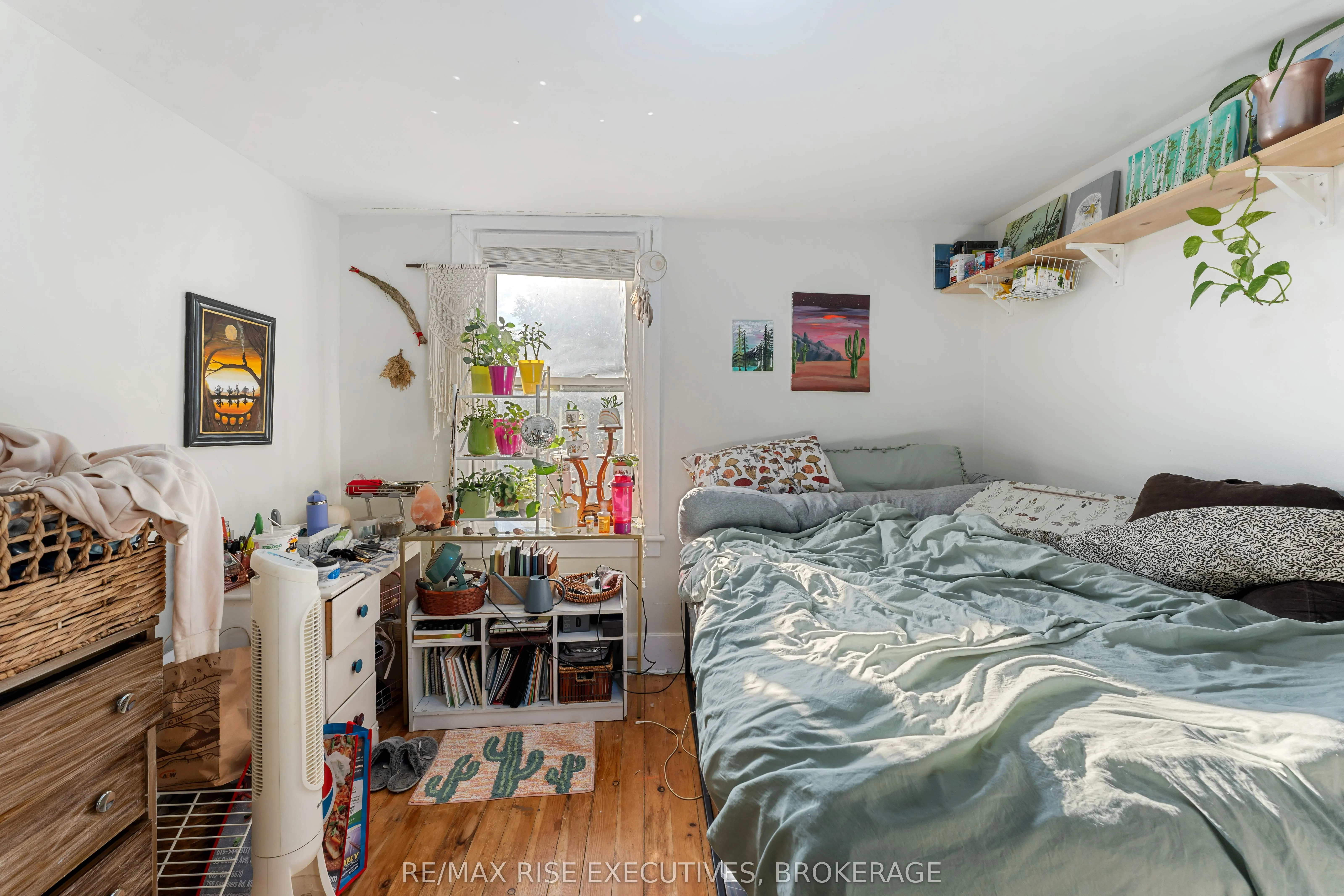 539 Albert Street