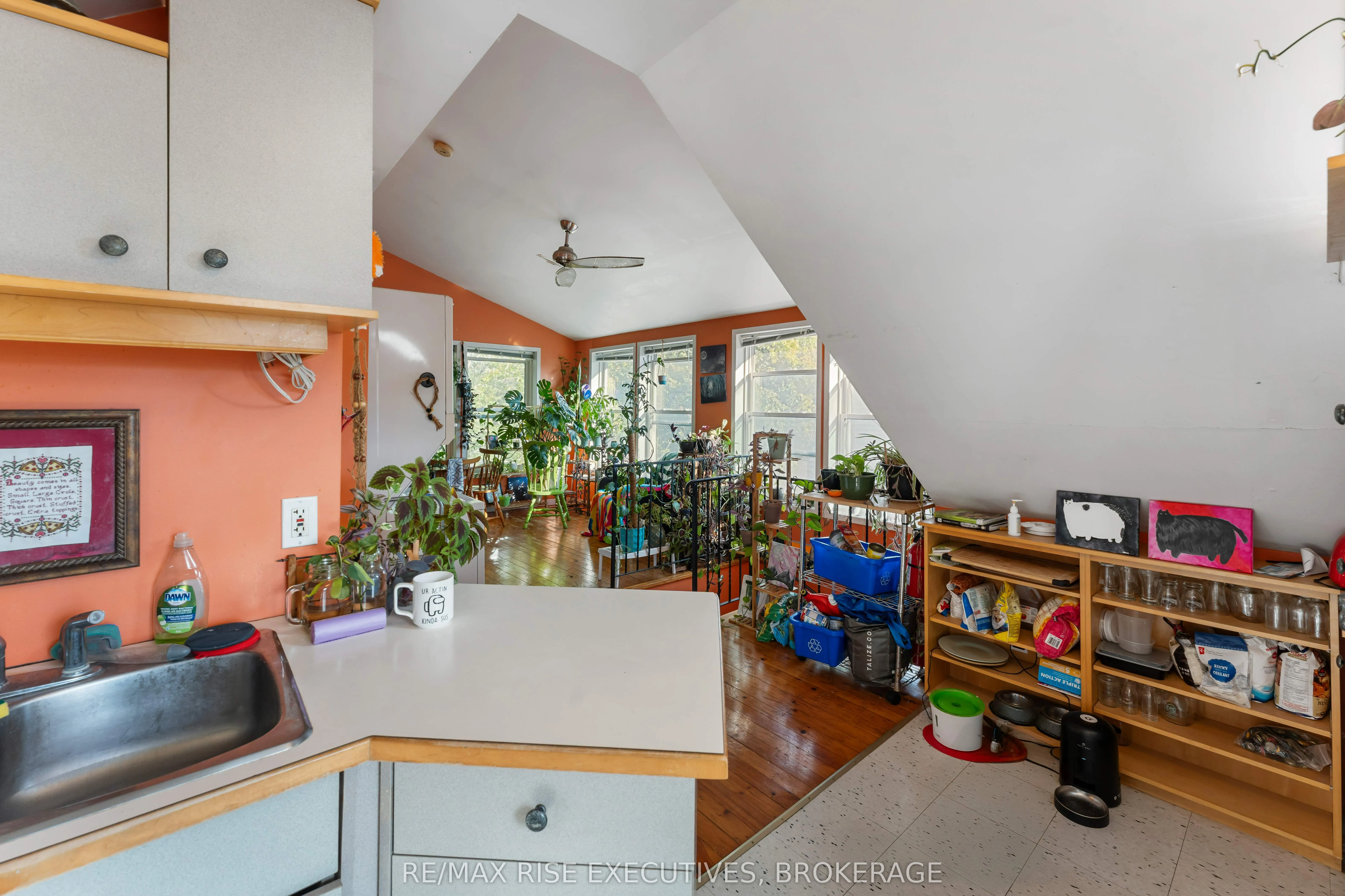 539 Albert Street