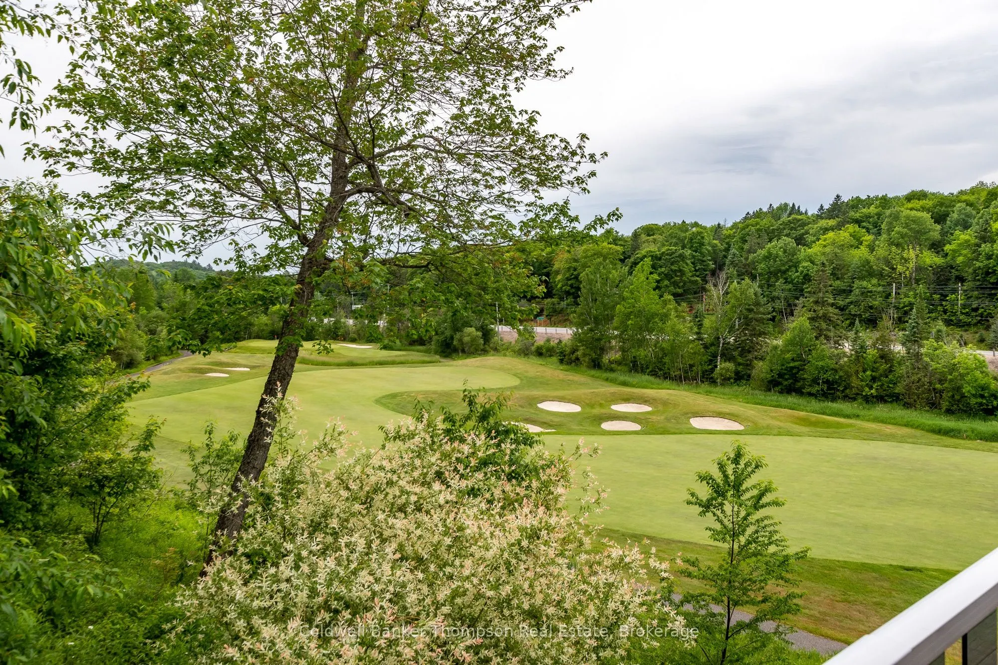17 Deerhurst Highlands Drive
