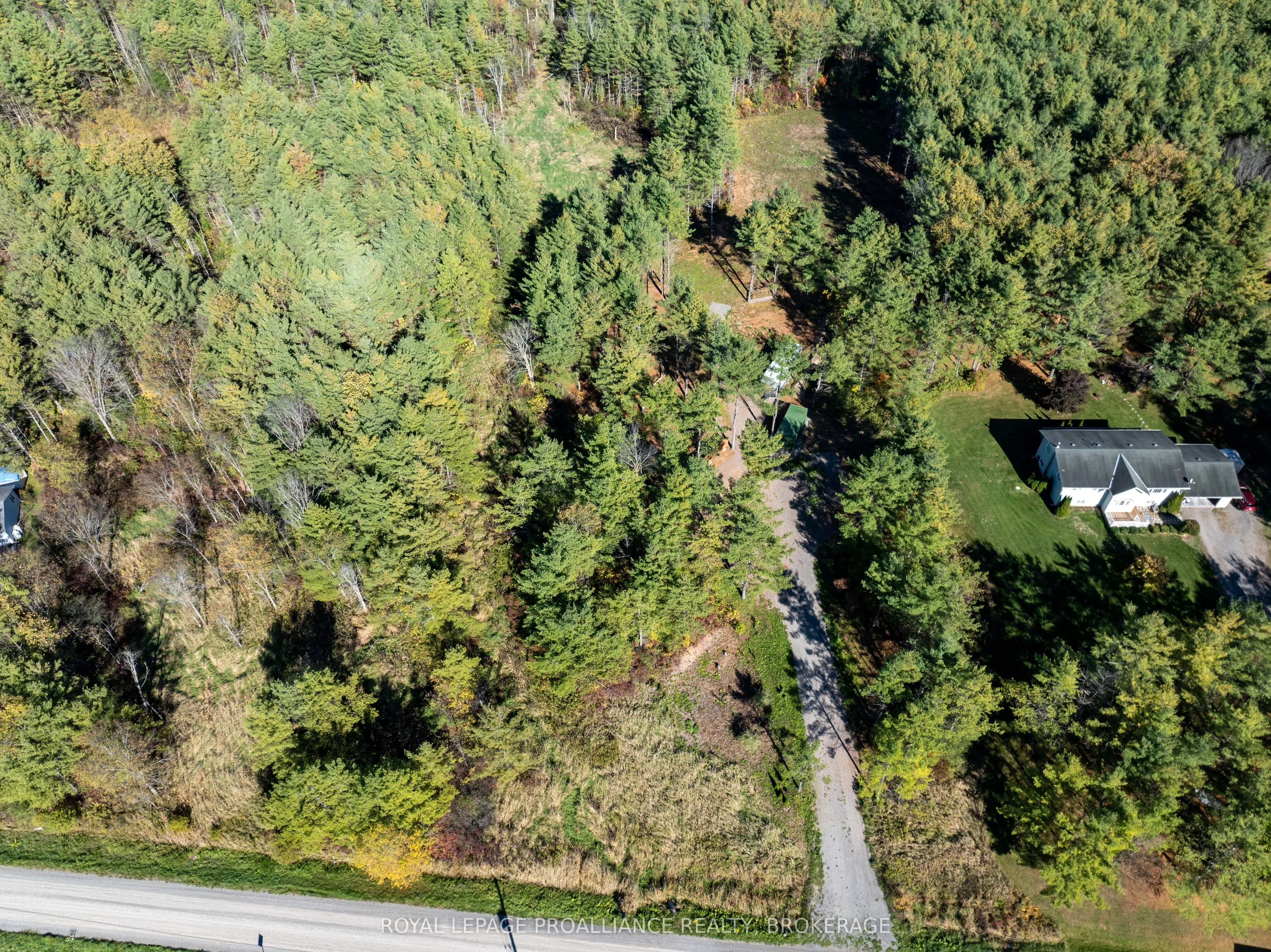 31 Guild Road