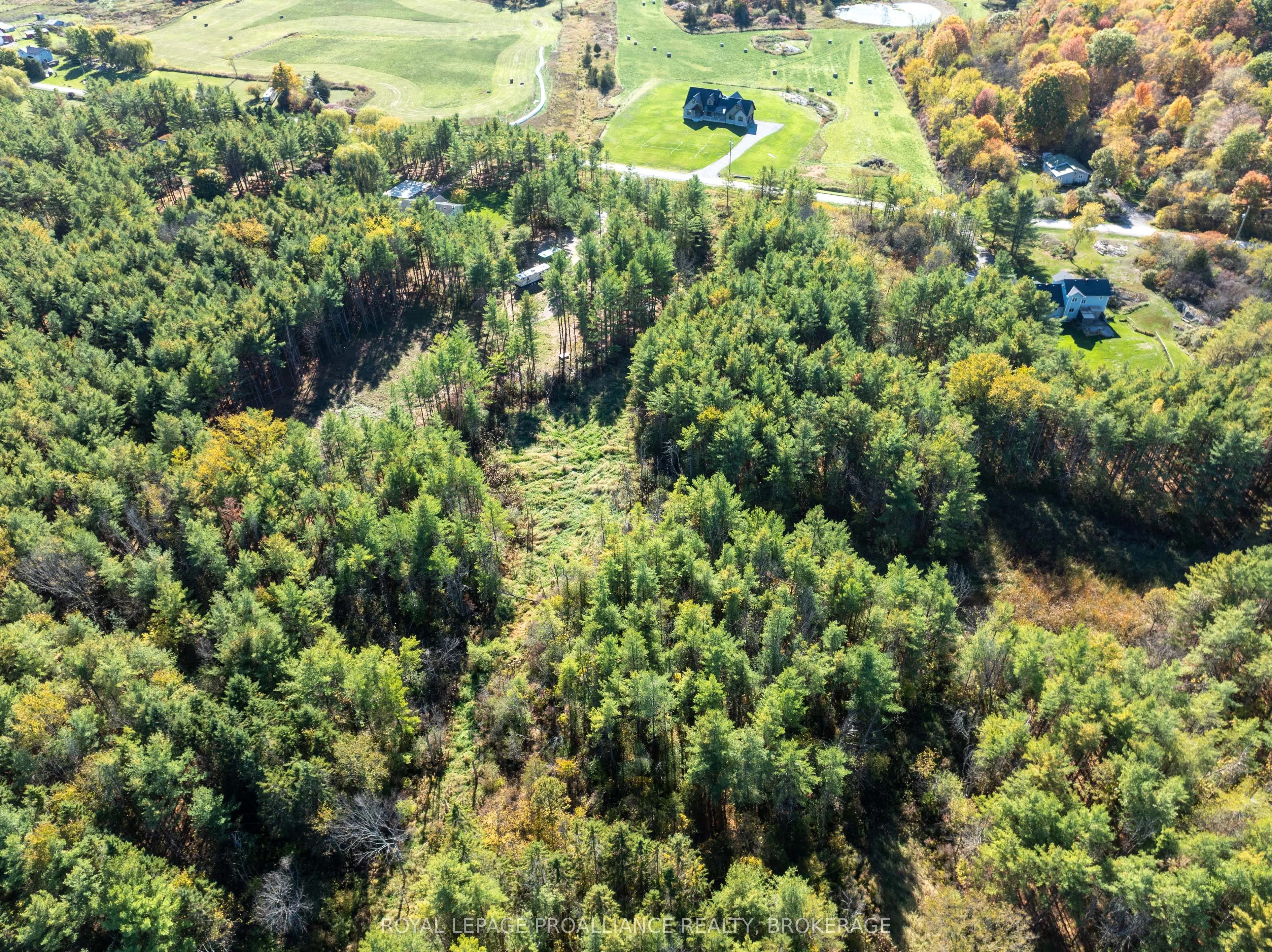 31 Guild Road