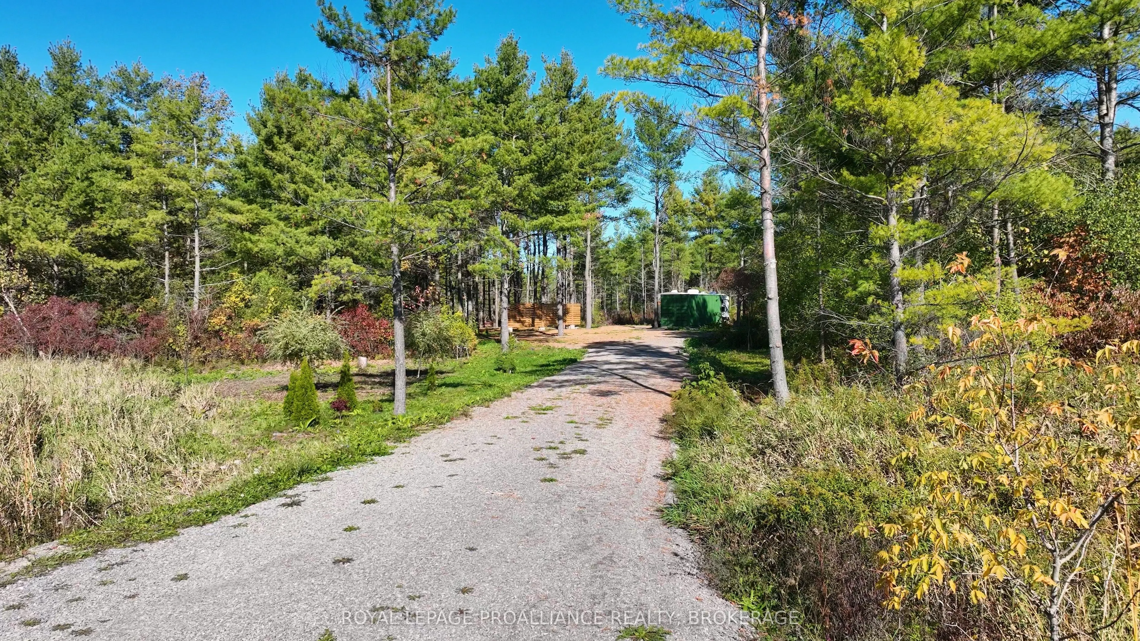 31 Guild Road