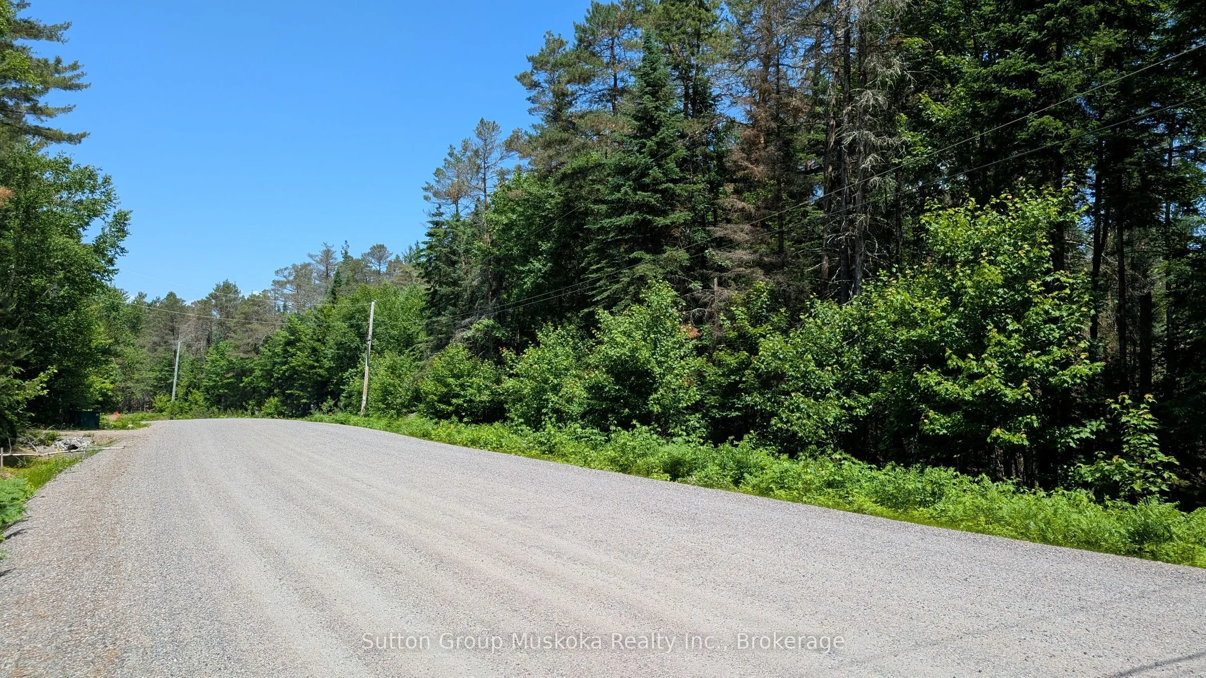 Lot 1 Red Pine Trail