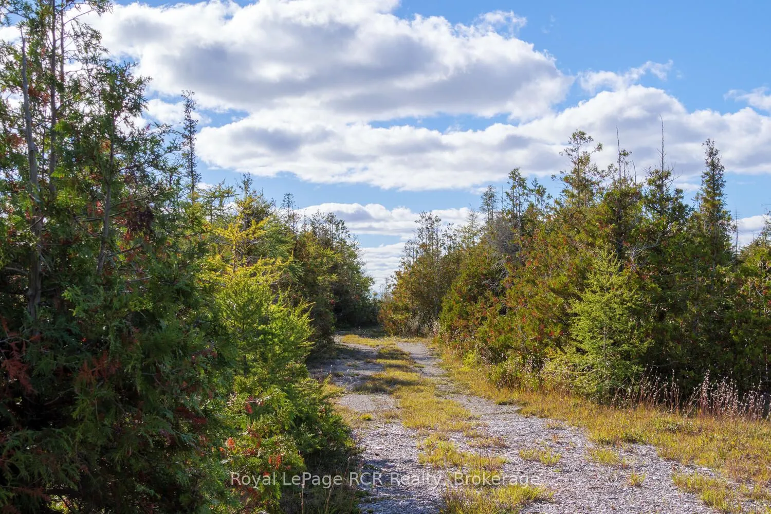 43 Sadler Creek Road
