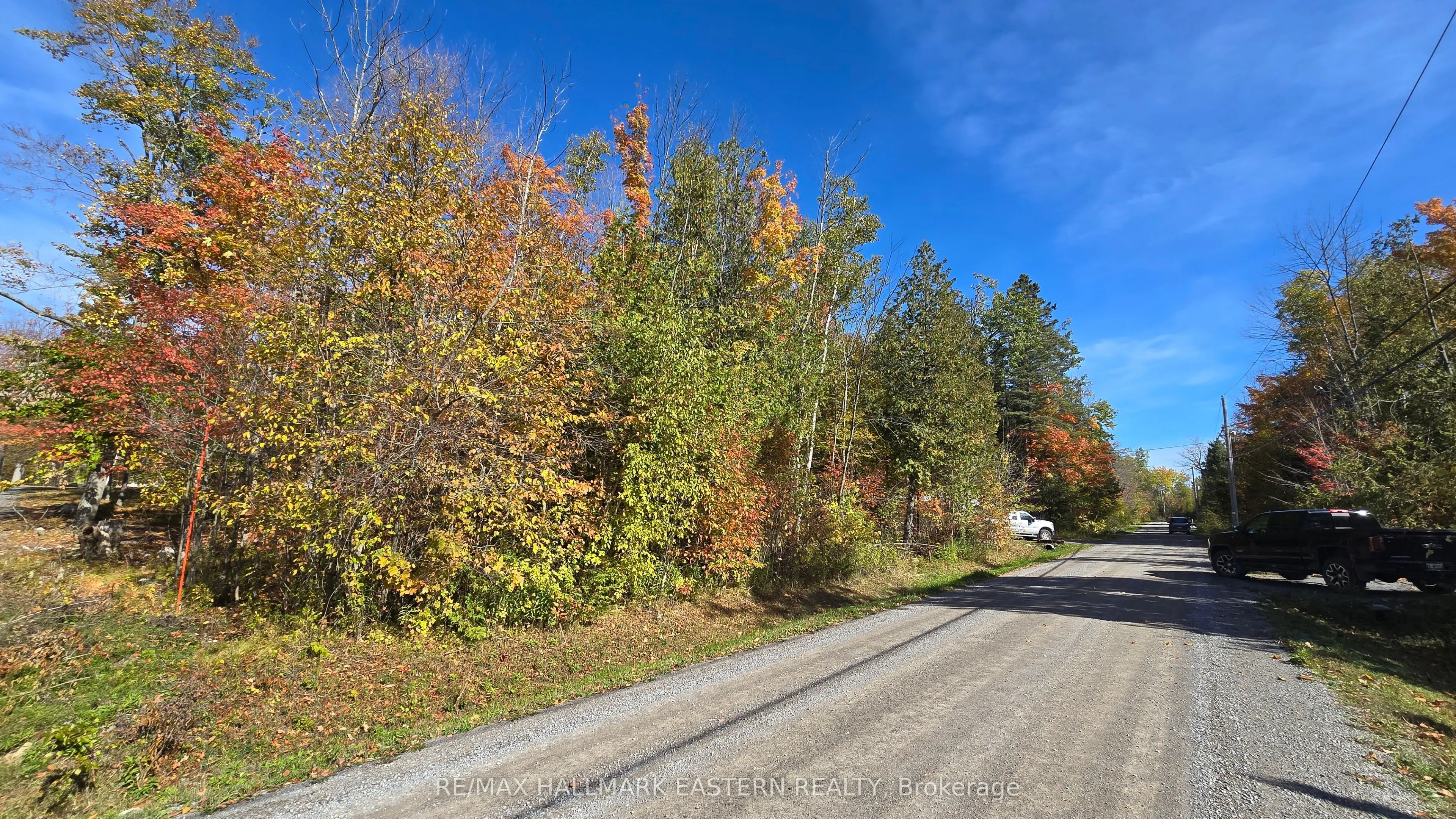 344 Swinburne Lane