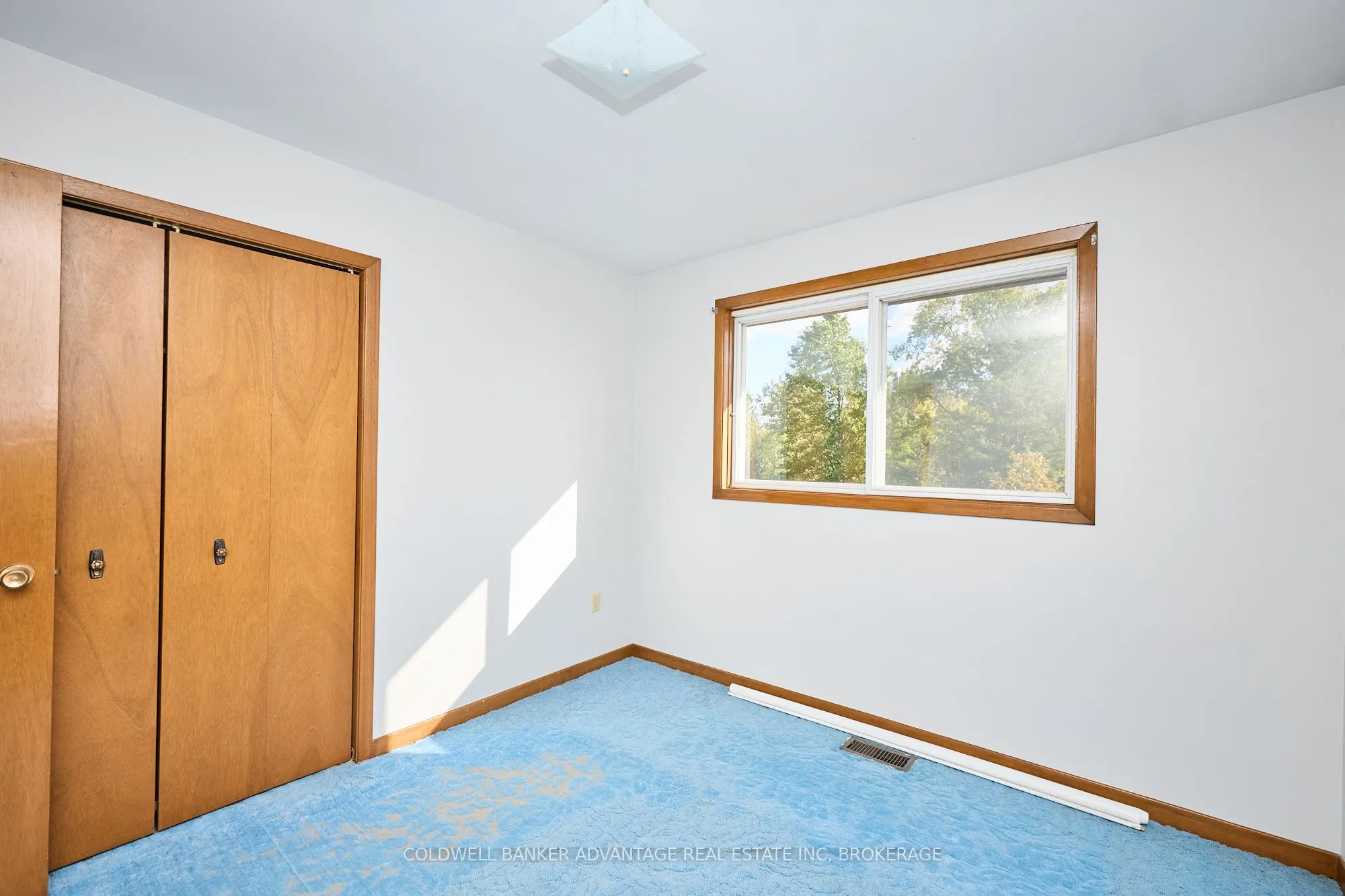 925 Carl Road