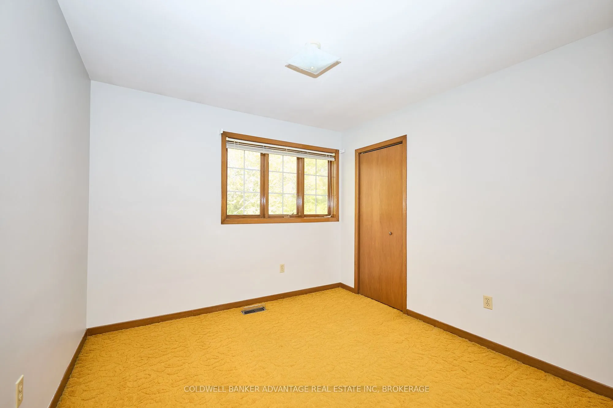 925 Carl Road