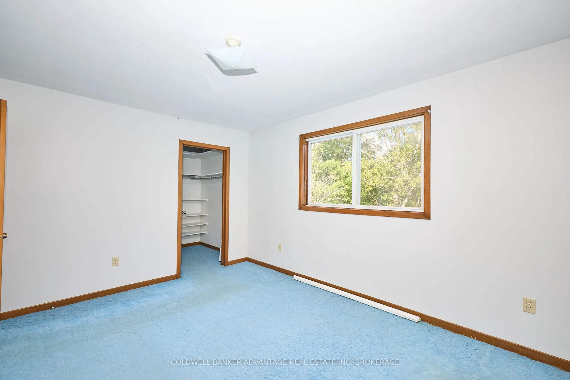 925 Carl Road