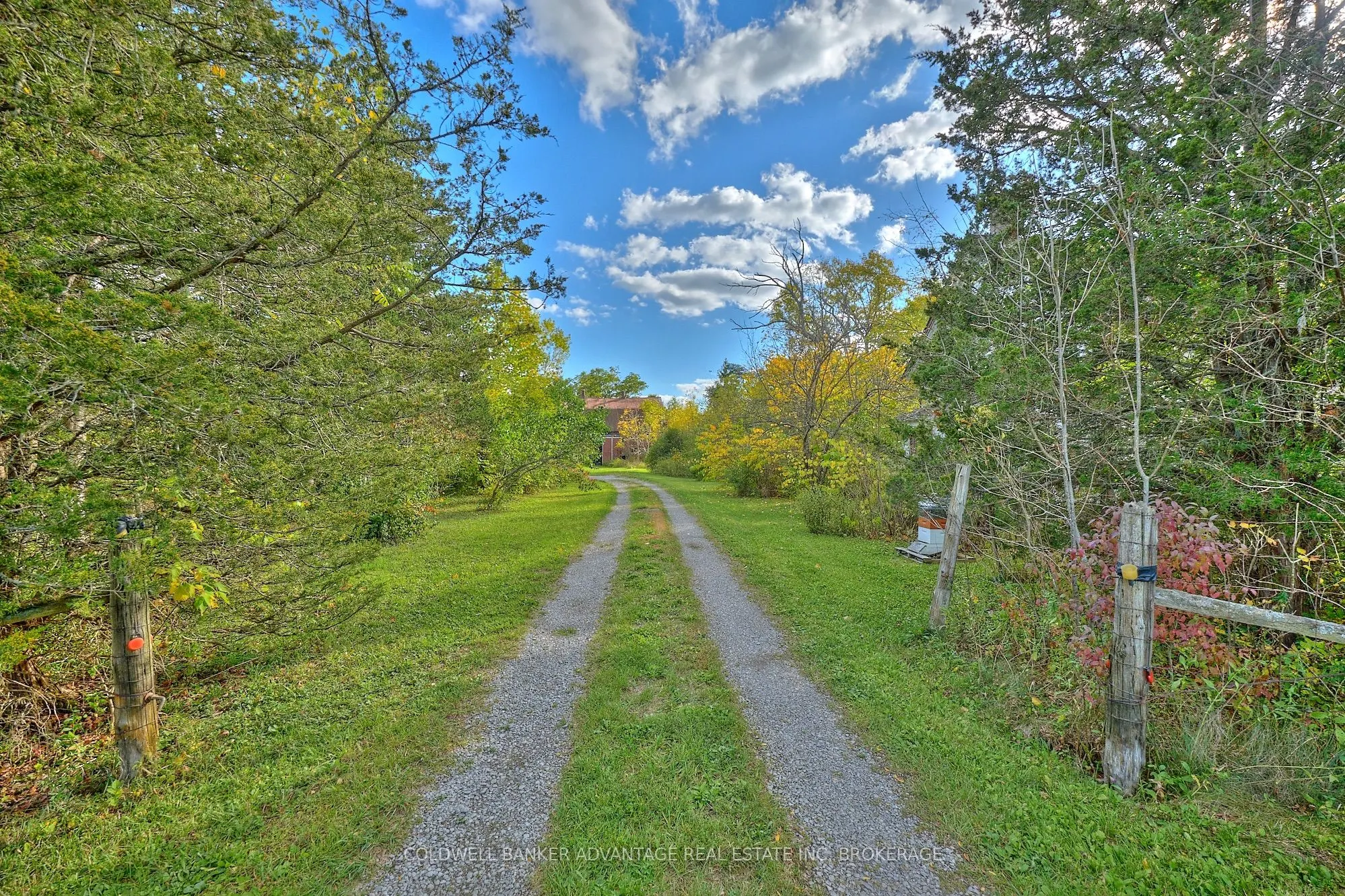 925 Carl Road