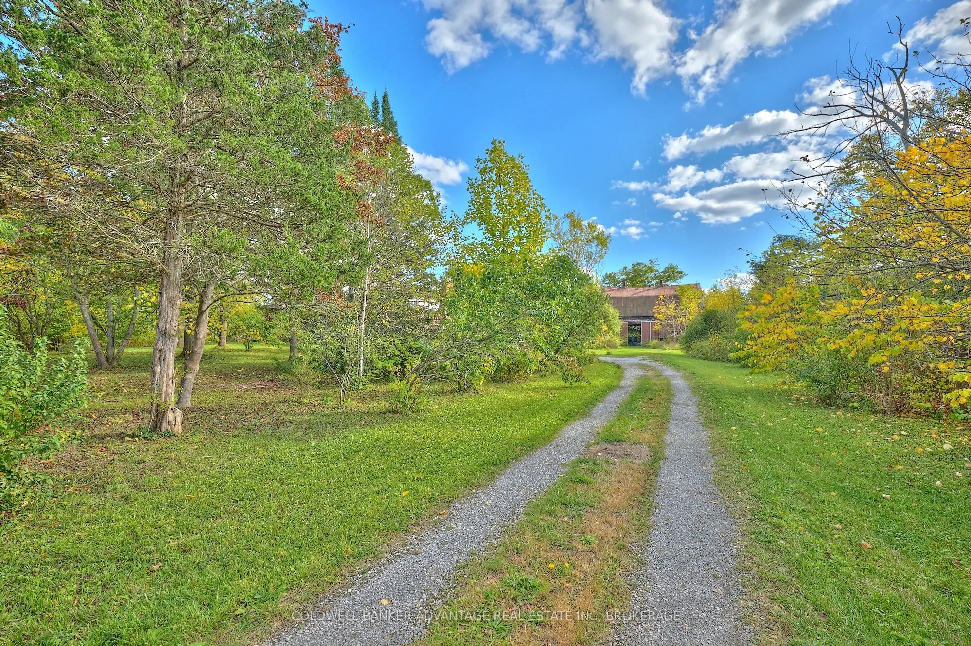 925 Carl Road