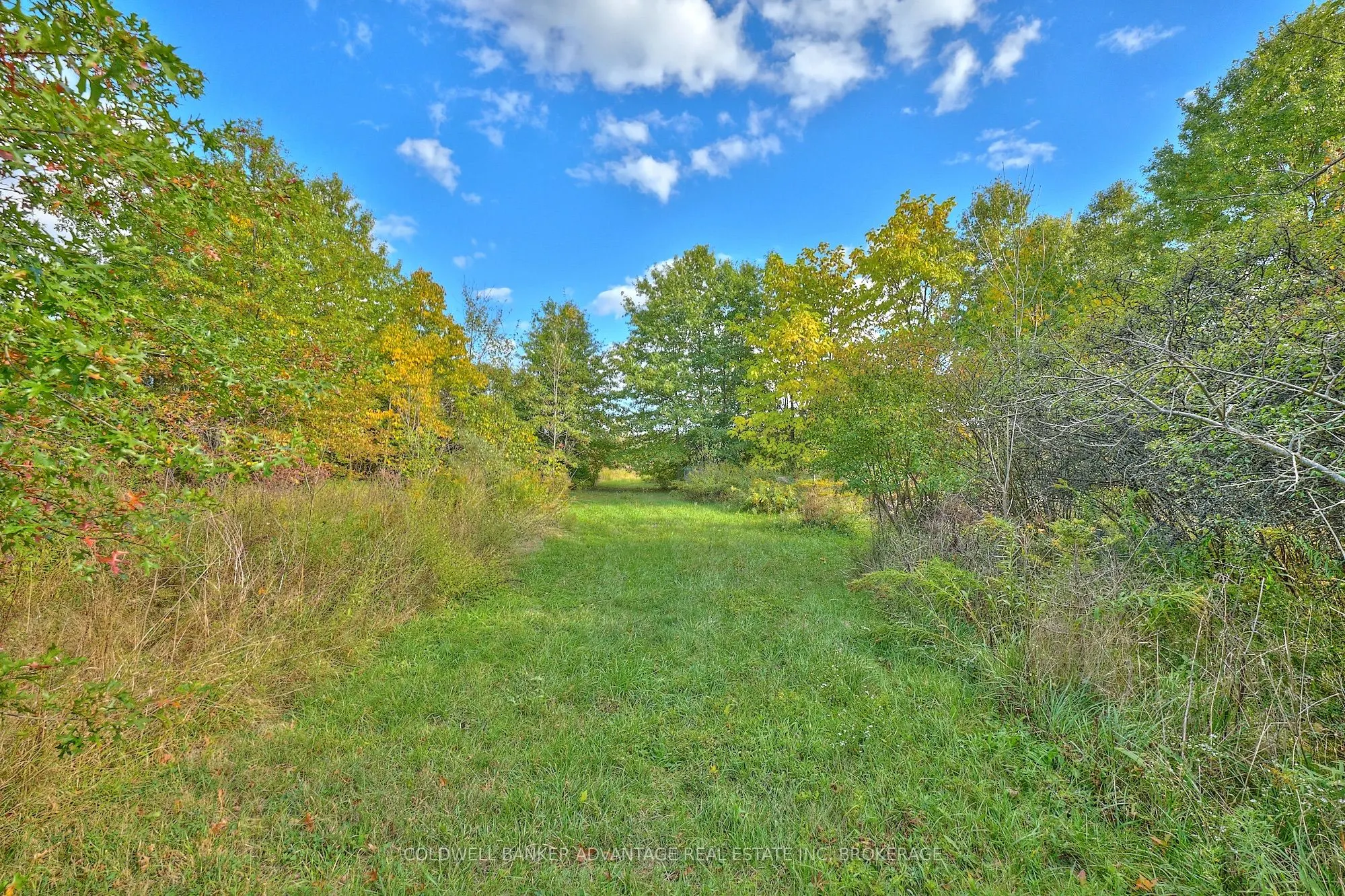 925 Carl Road