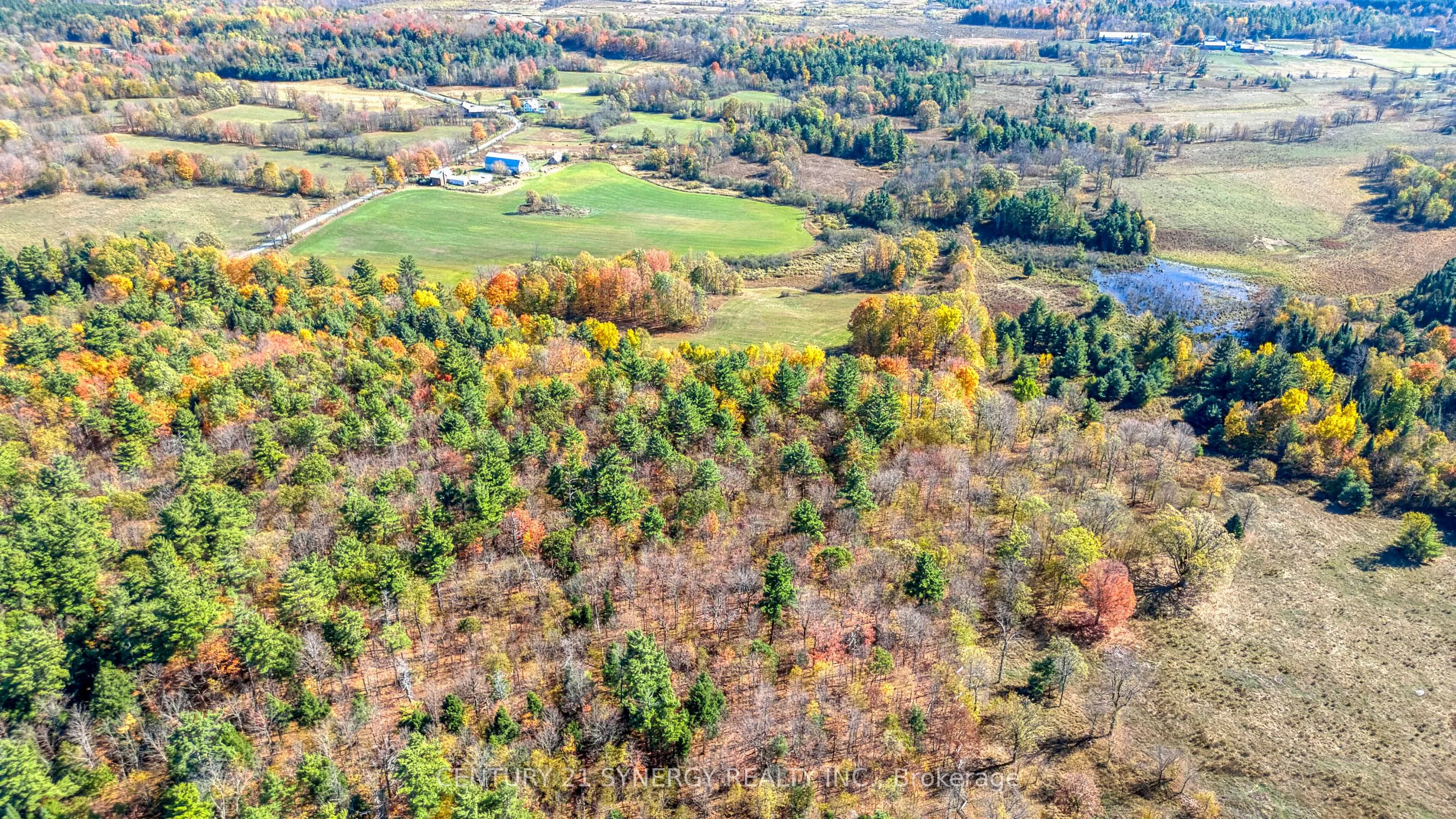 713 Rutherford Side Road