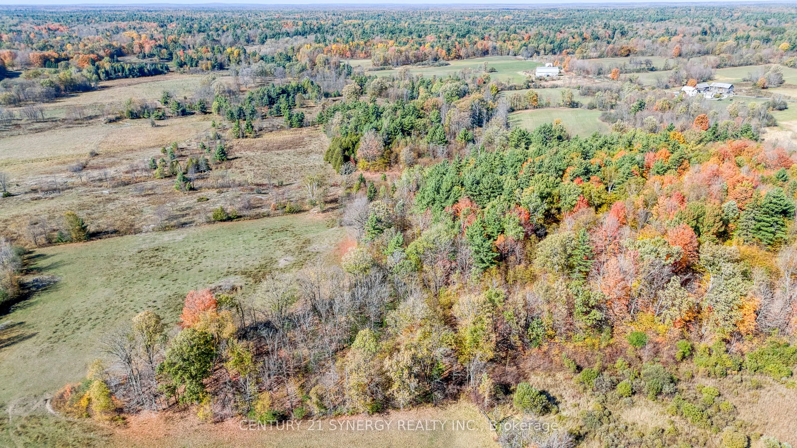 713 Rutherford Side Road
