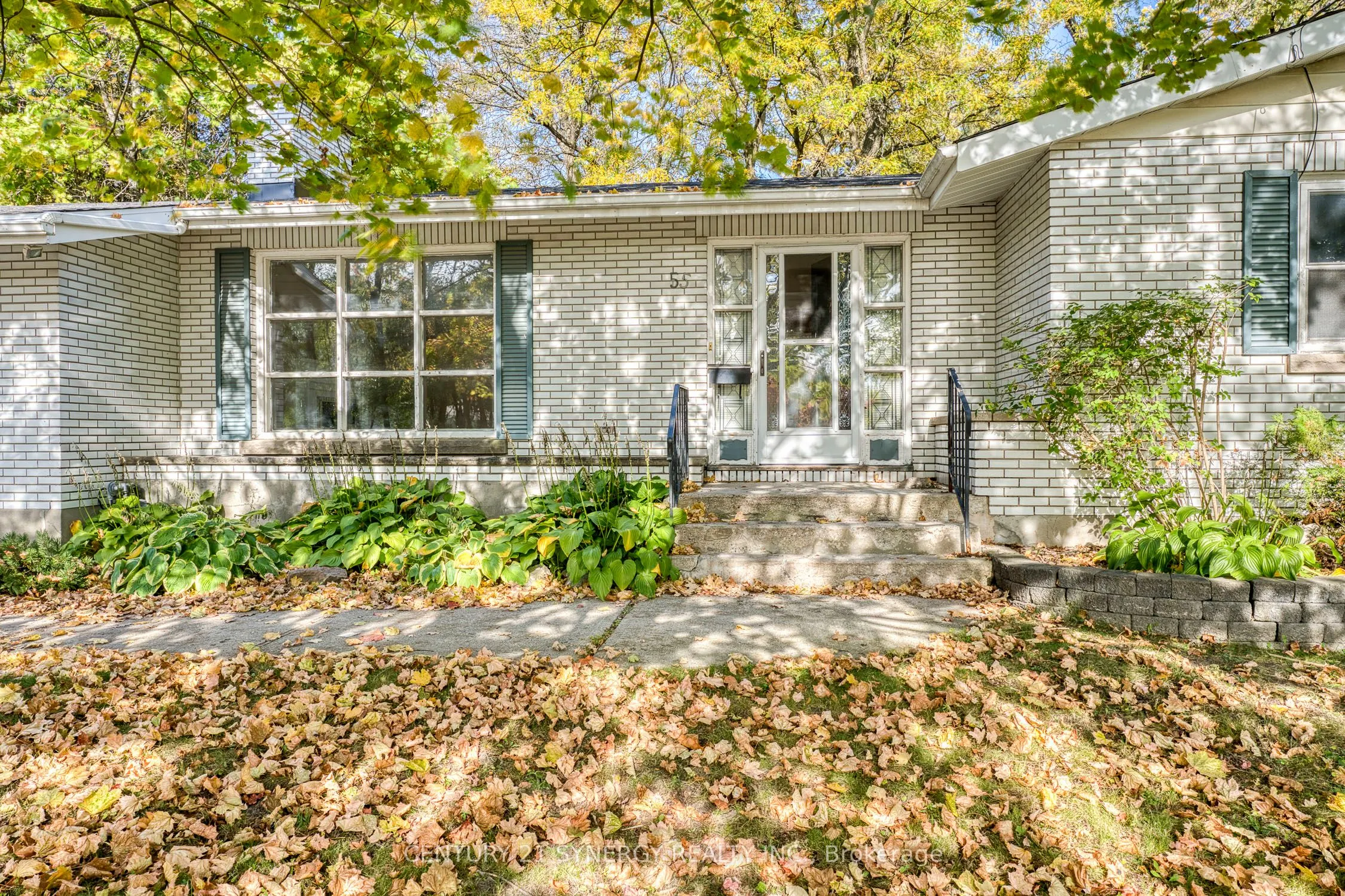 55 Drummond Street W
