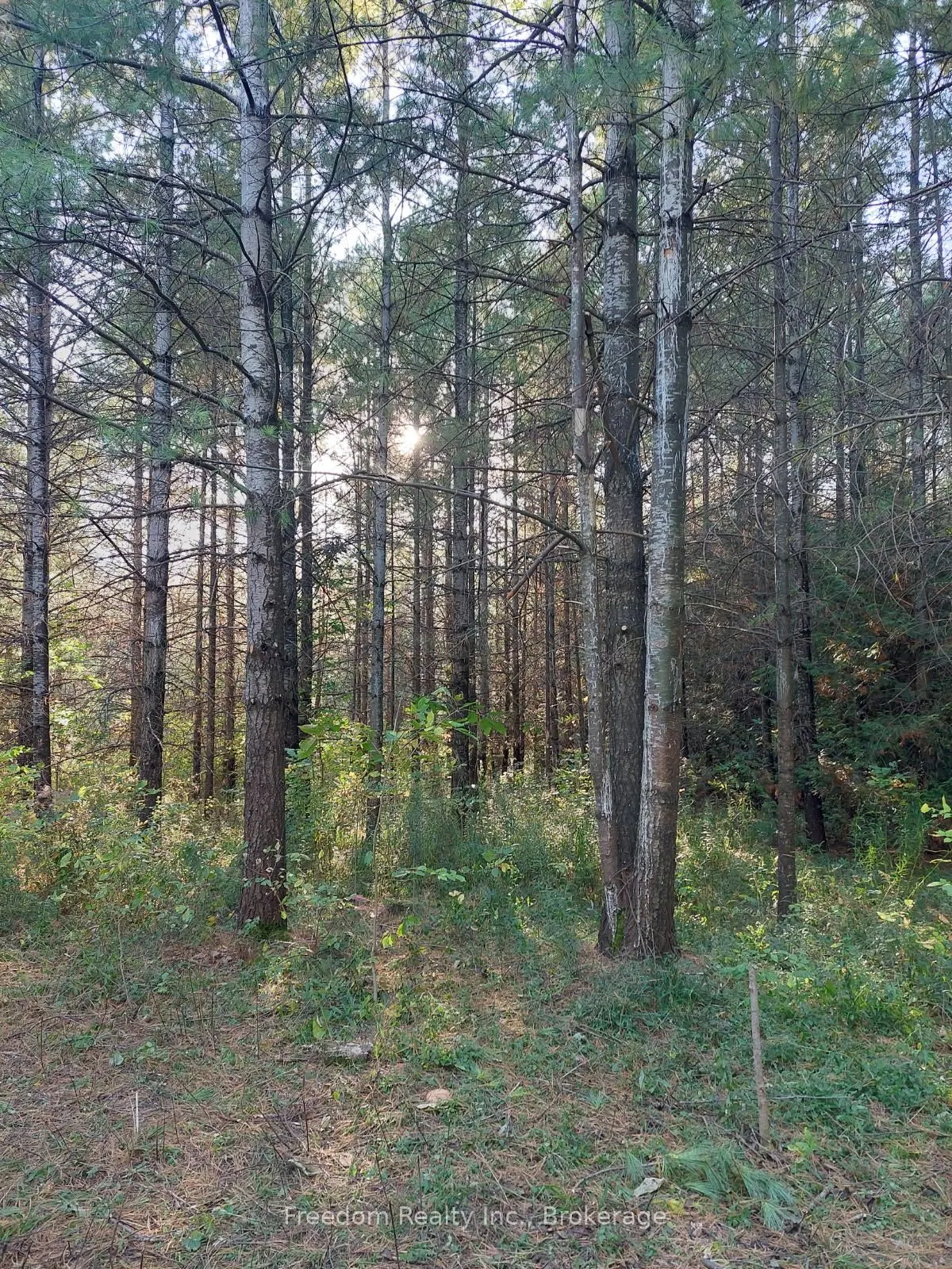 523782 Concession 12 Road