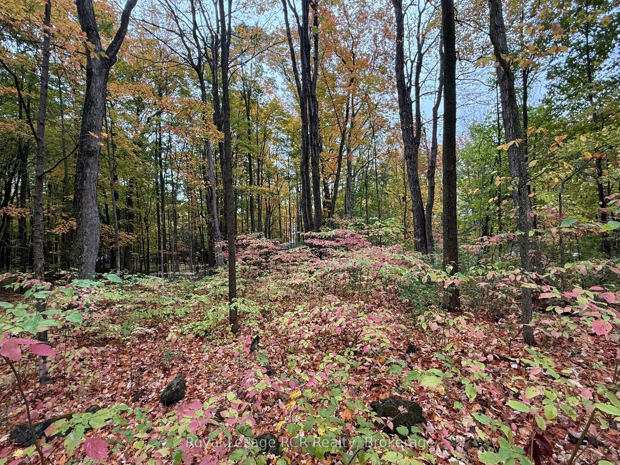 Lot 8 Green Acres Road