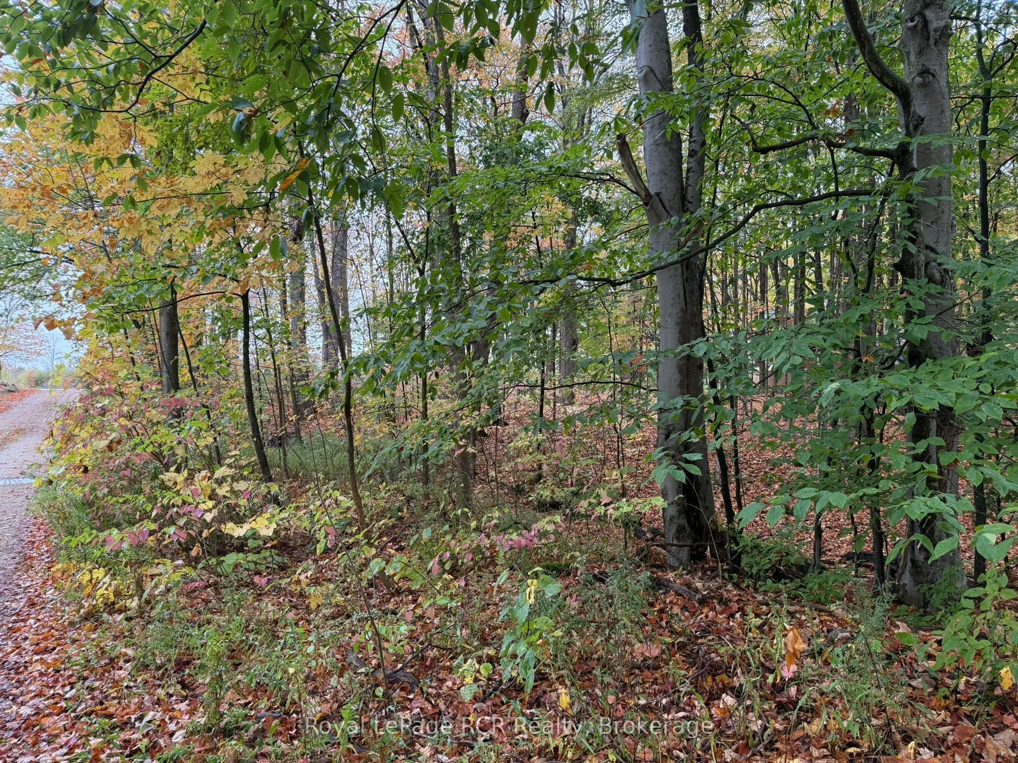 Lot 8 Green Acres Road