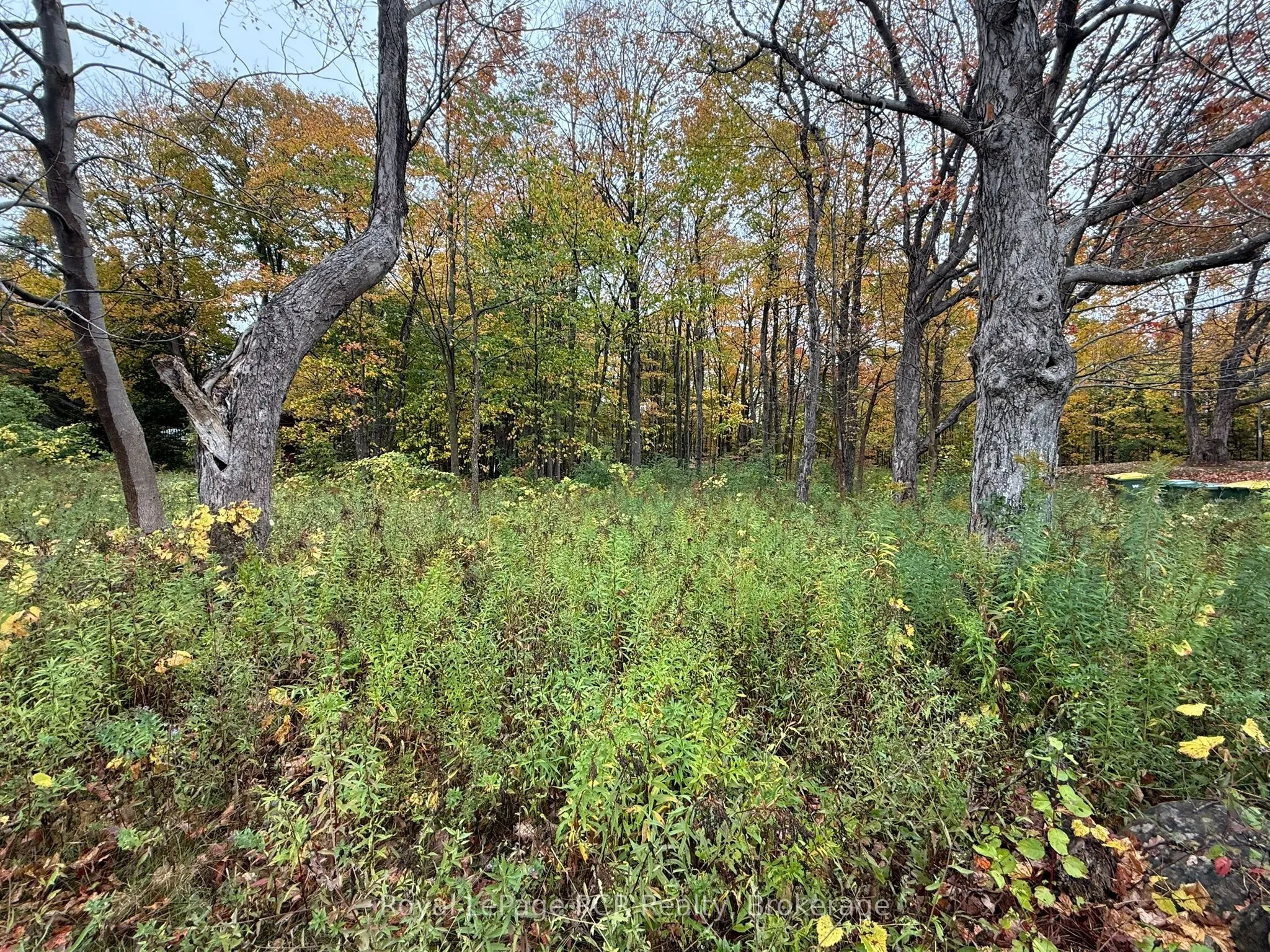Lot 8 Green Acres Road
