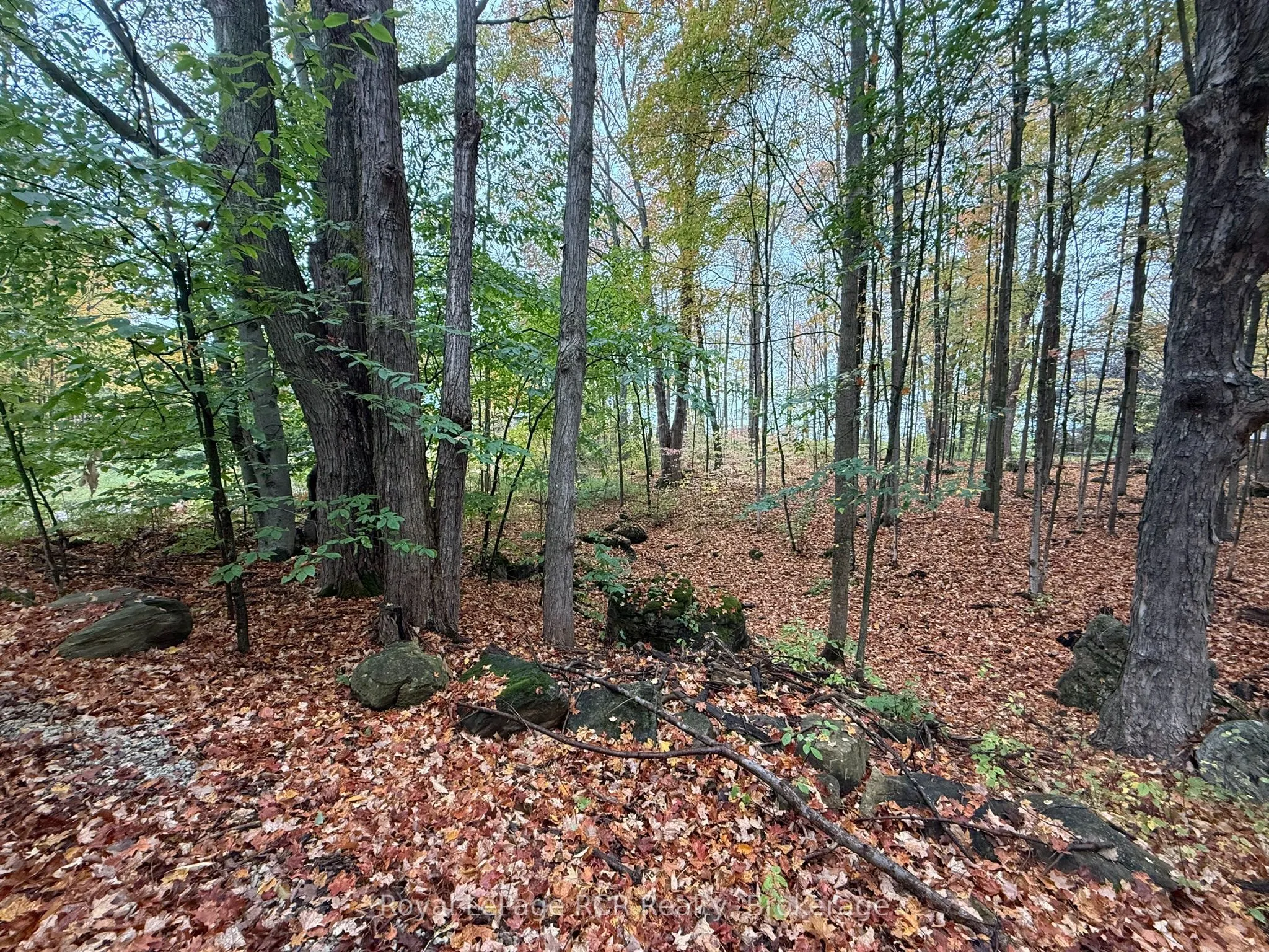 Lot 8 Green Acres Road