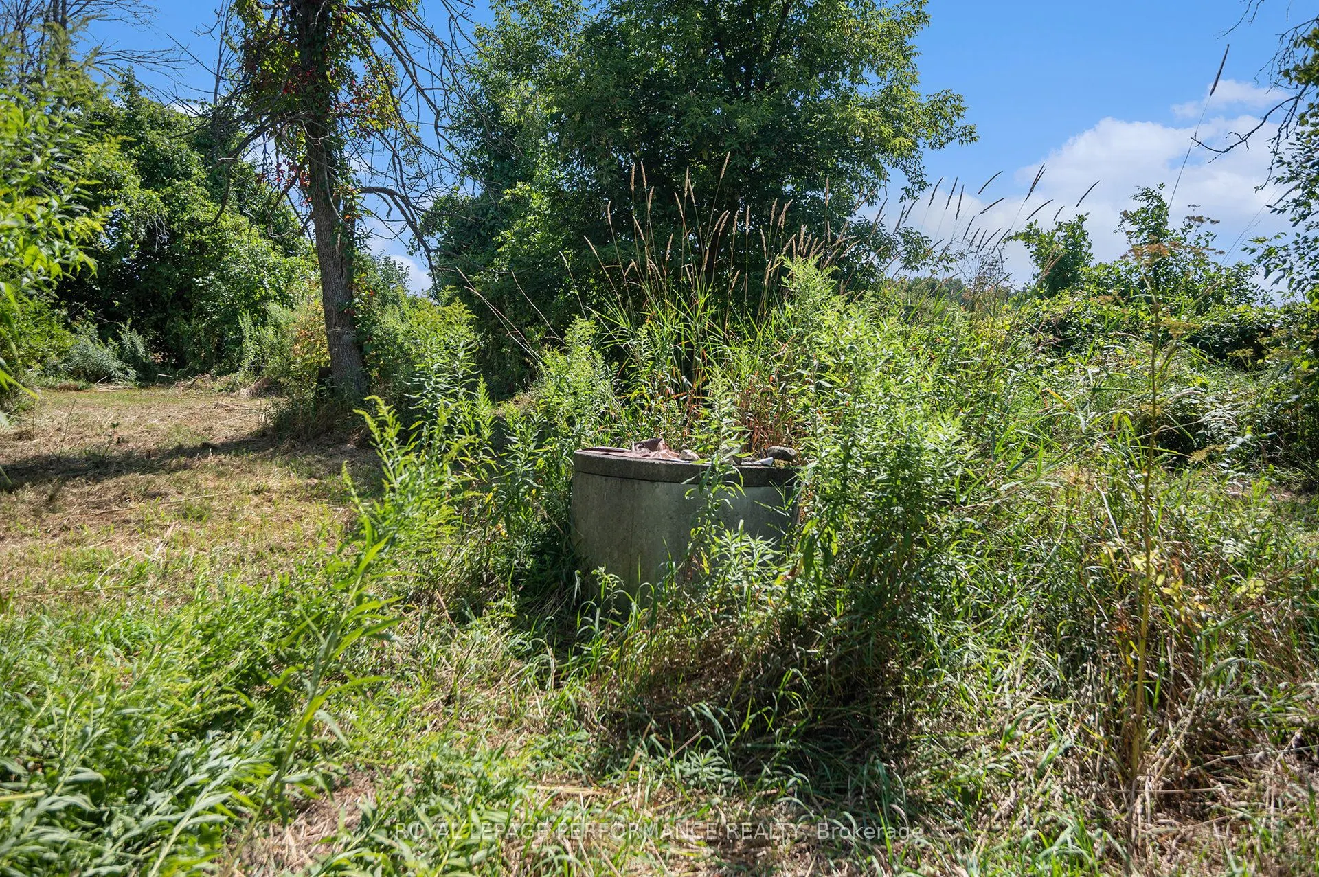 3796 County Rd 12 Road
