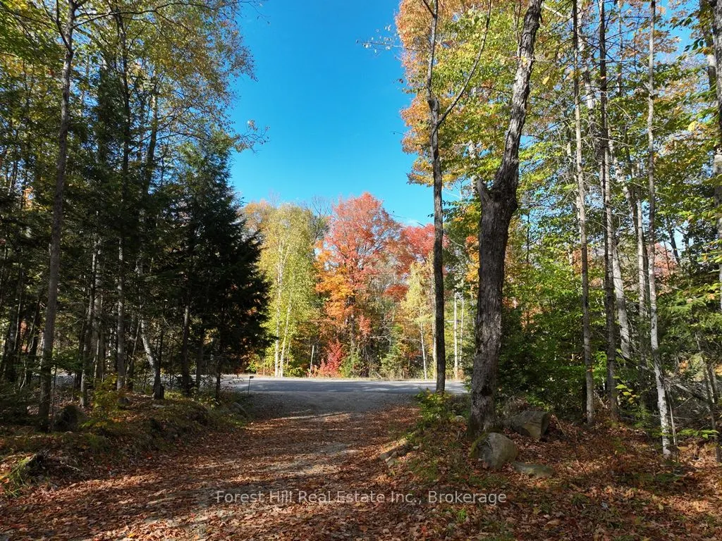 4488 Kawagama Lake Road