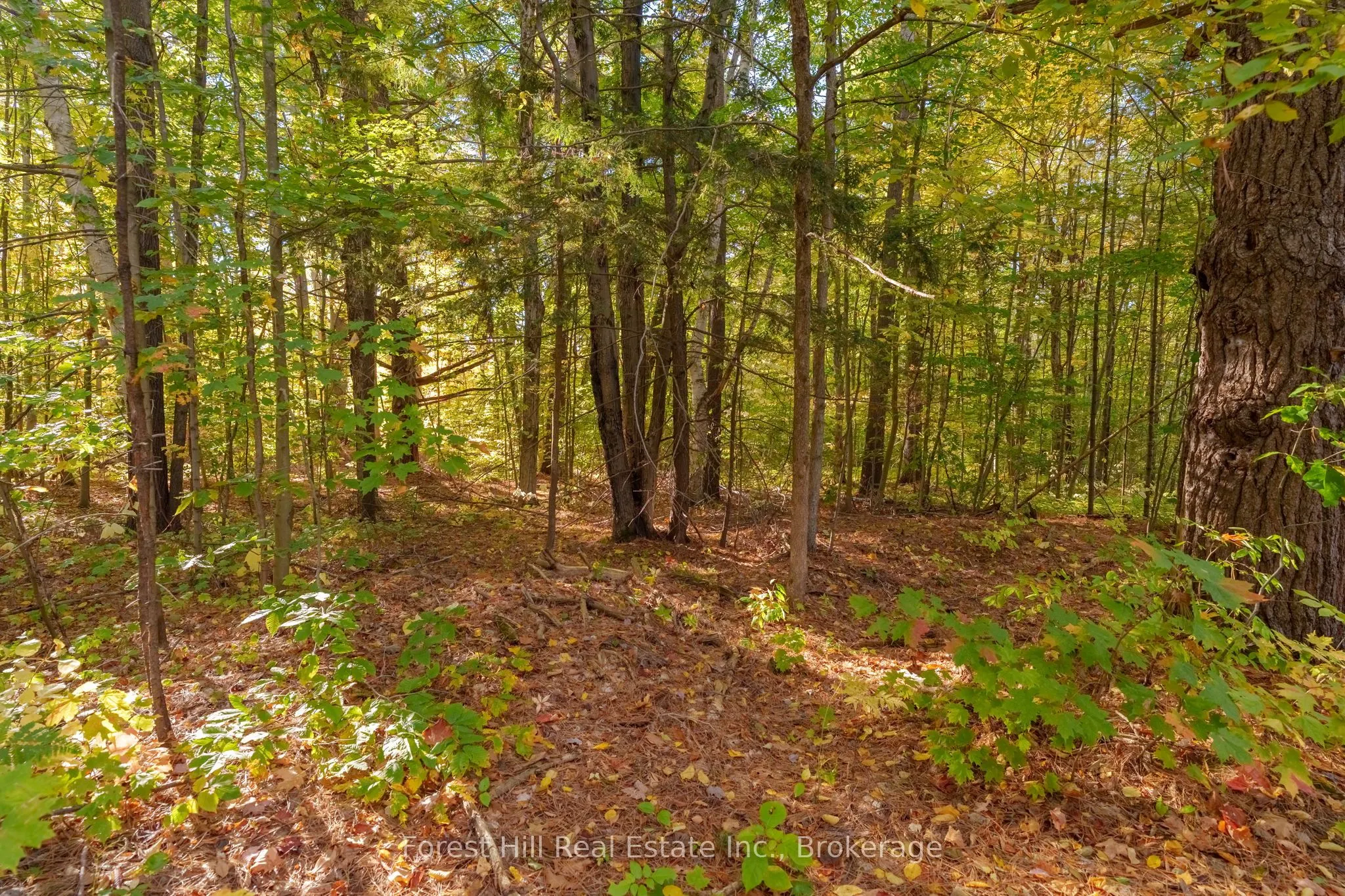 3864 Highway 118 W