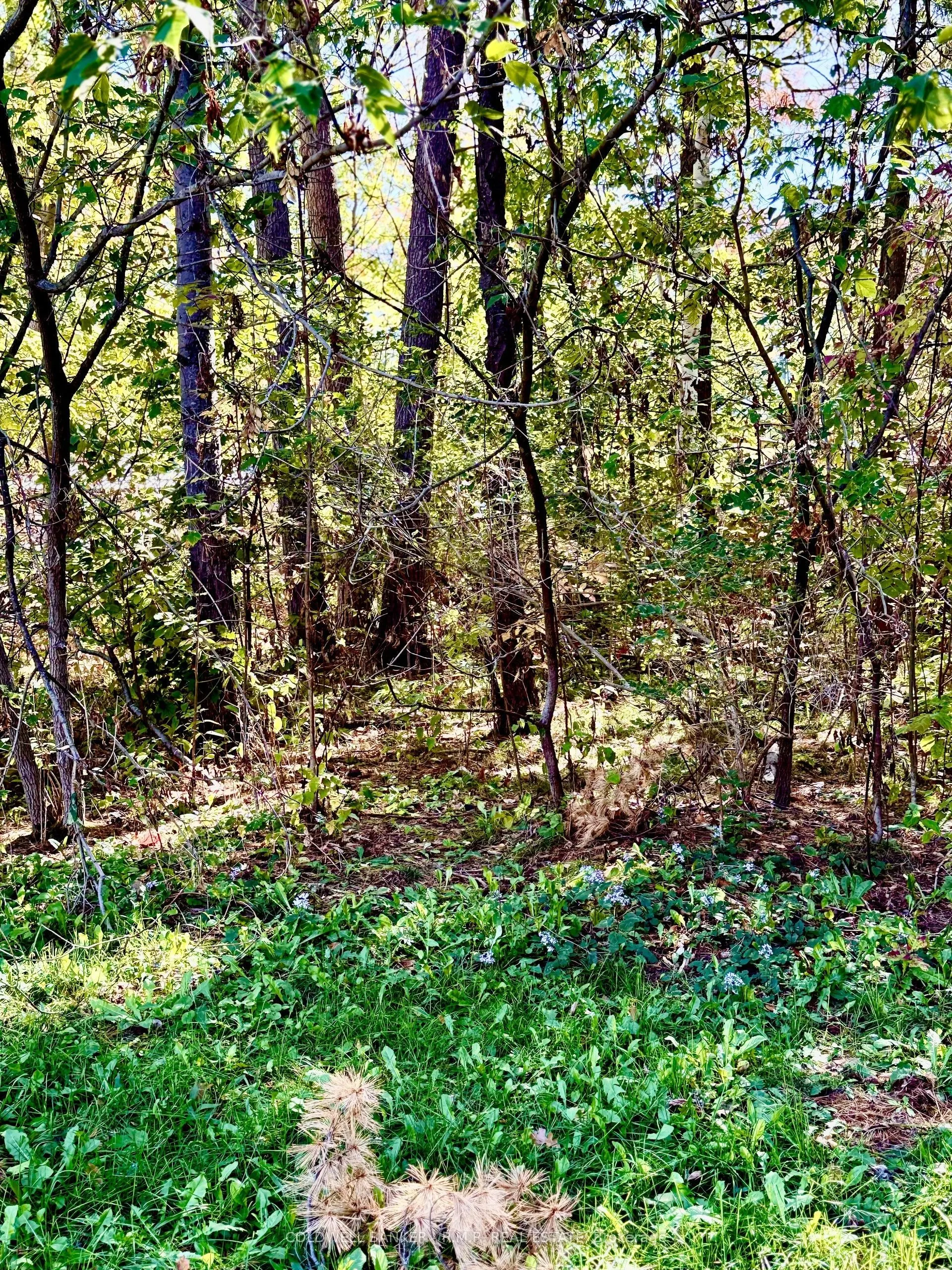 2 Oakwood Drive