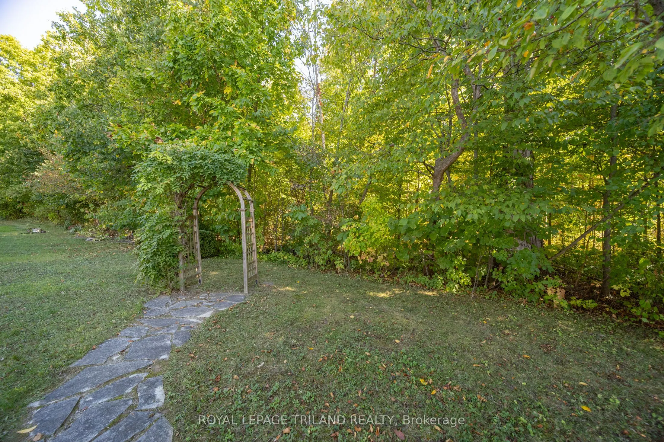 355 Shannon Boulevard