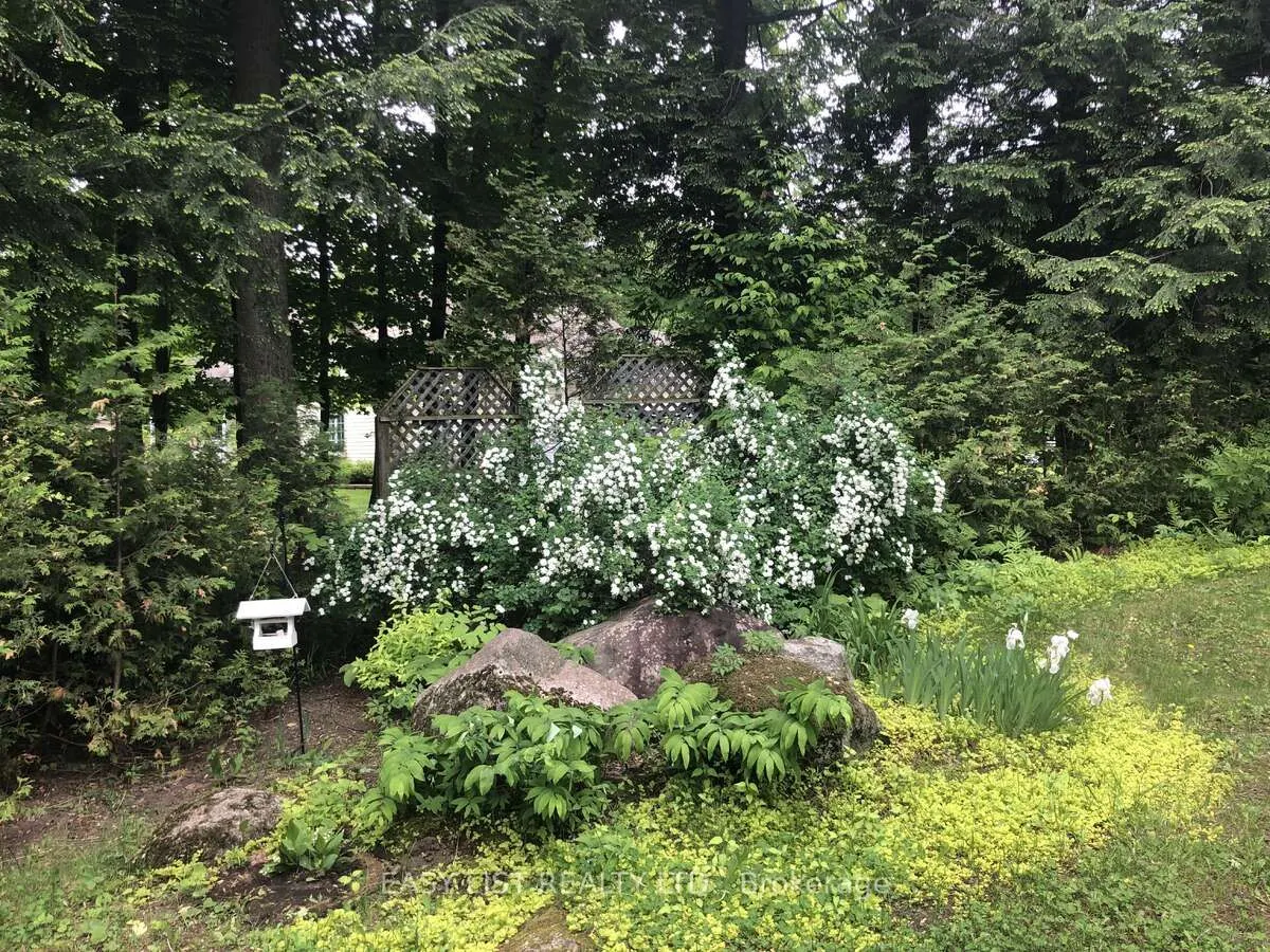 704 Pattee Road