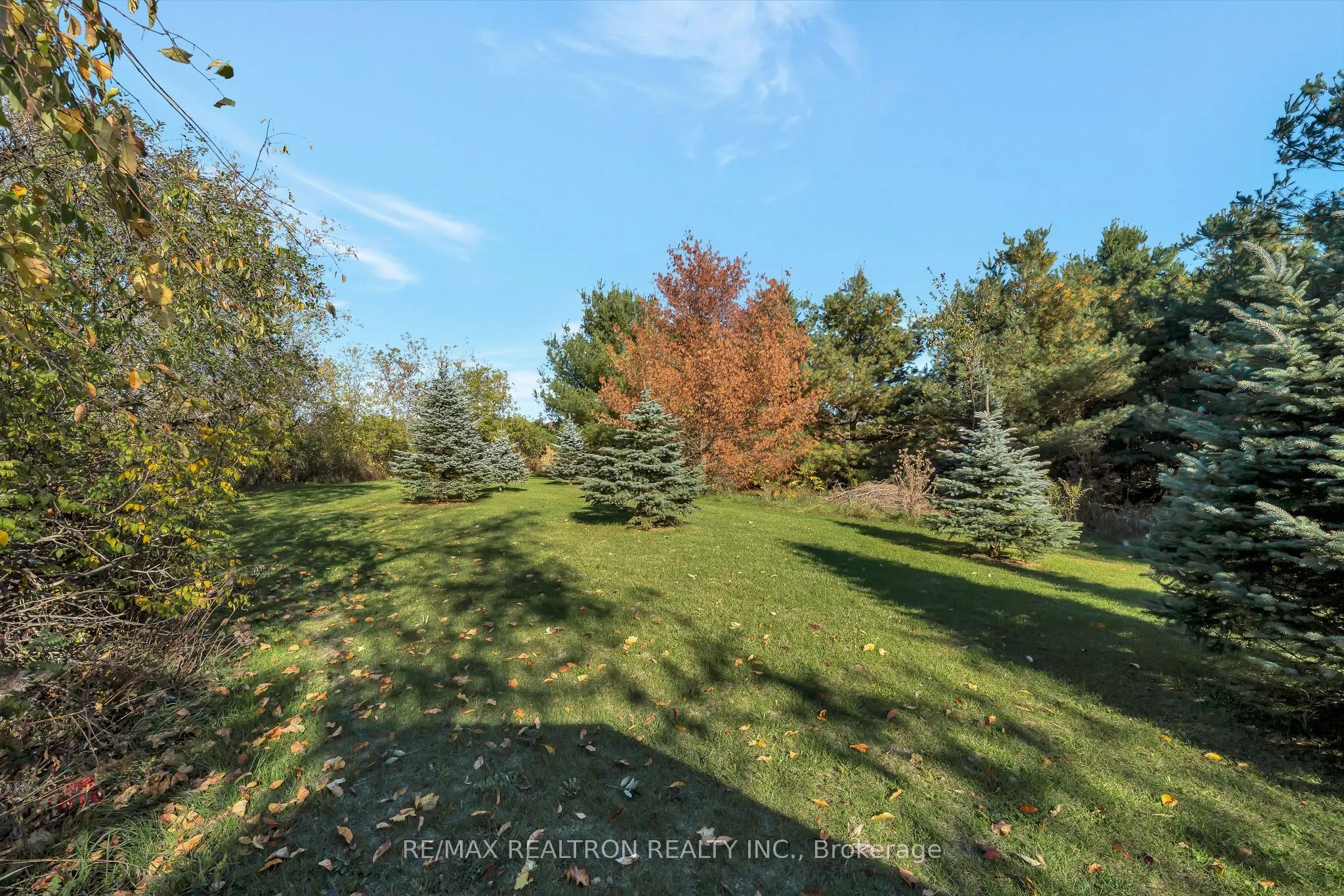 1117 Bethel Road