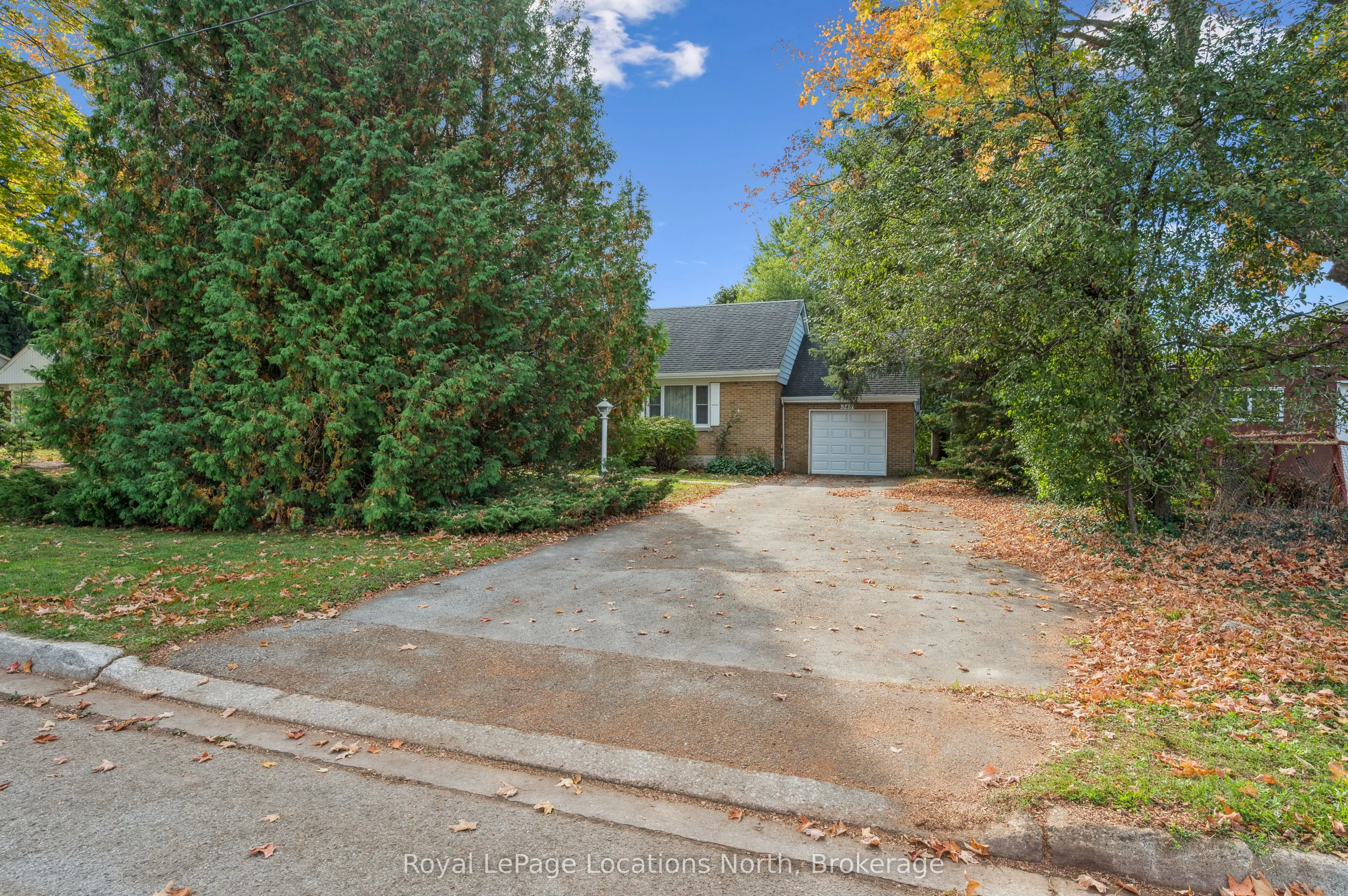 345 Thistle Street