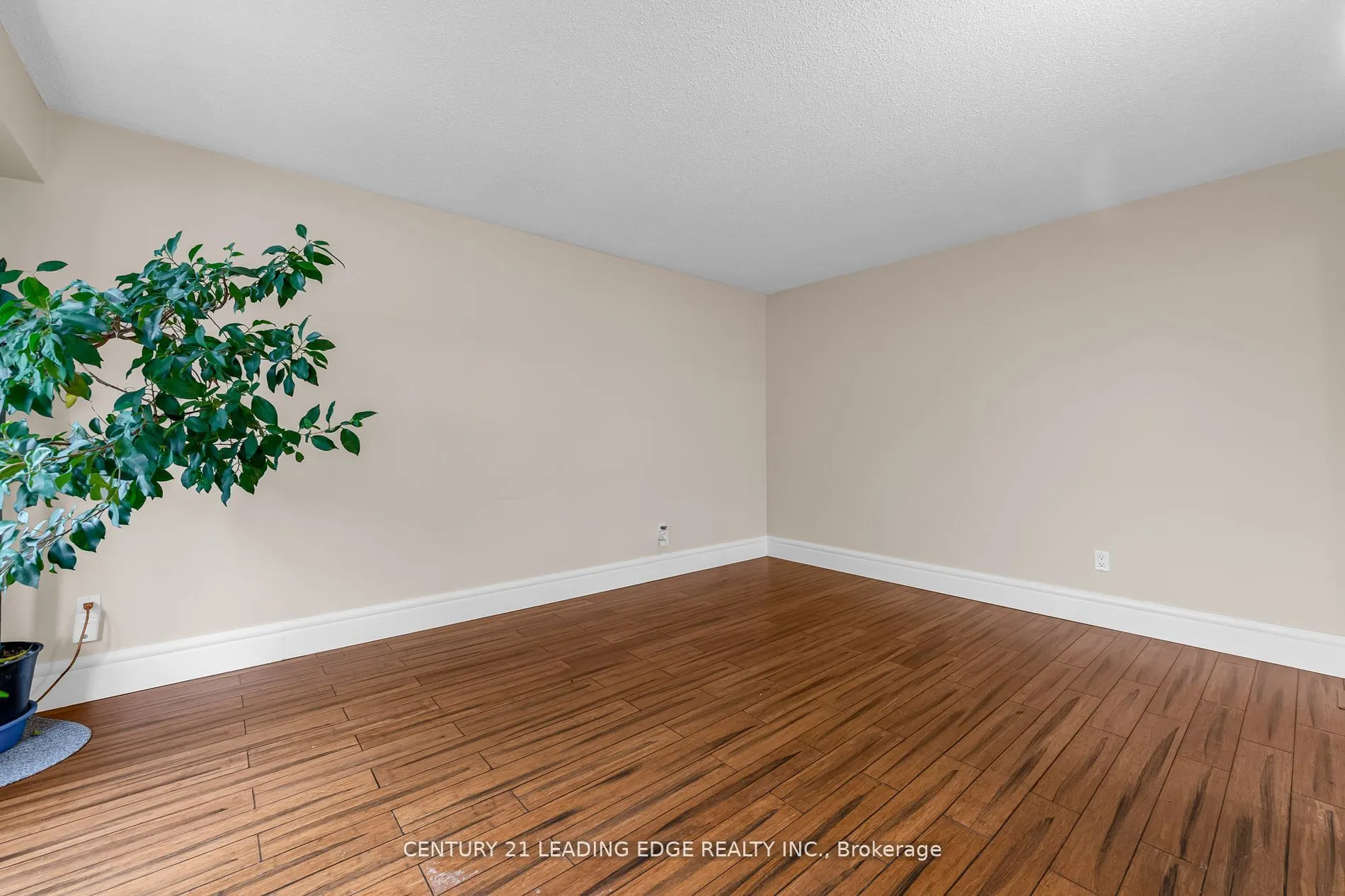636 Crescent Road