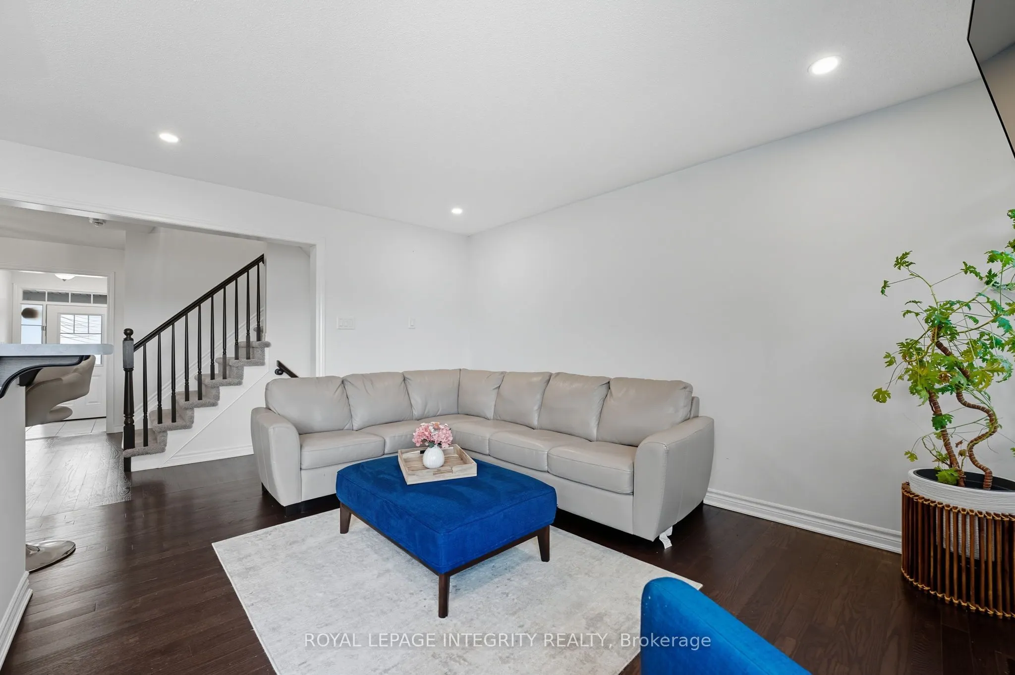 347 Willow Aster Circle